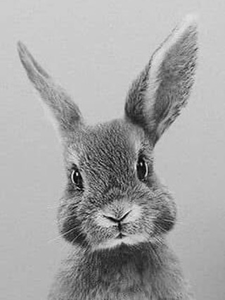 Aujourd’hui vendredi 03 avril, voici nos plats du jour pour nos deux établissements Au P’tit Max
📞 Contact & Réservations :
🖥️ www.auptitmax.lu
Kirchberg📩 23, Rue de la Lavande L-1923 Luxembourg
☎️ +352 43 95 19
Place d’Armes📩 5, Avenue Monterey L-2163 Luxembourg
☎️ +352 22 13 60