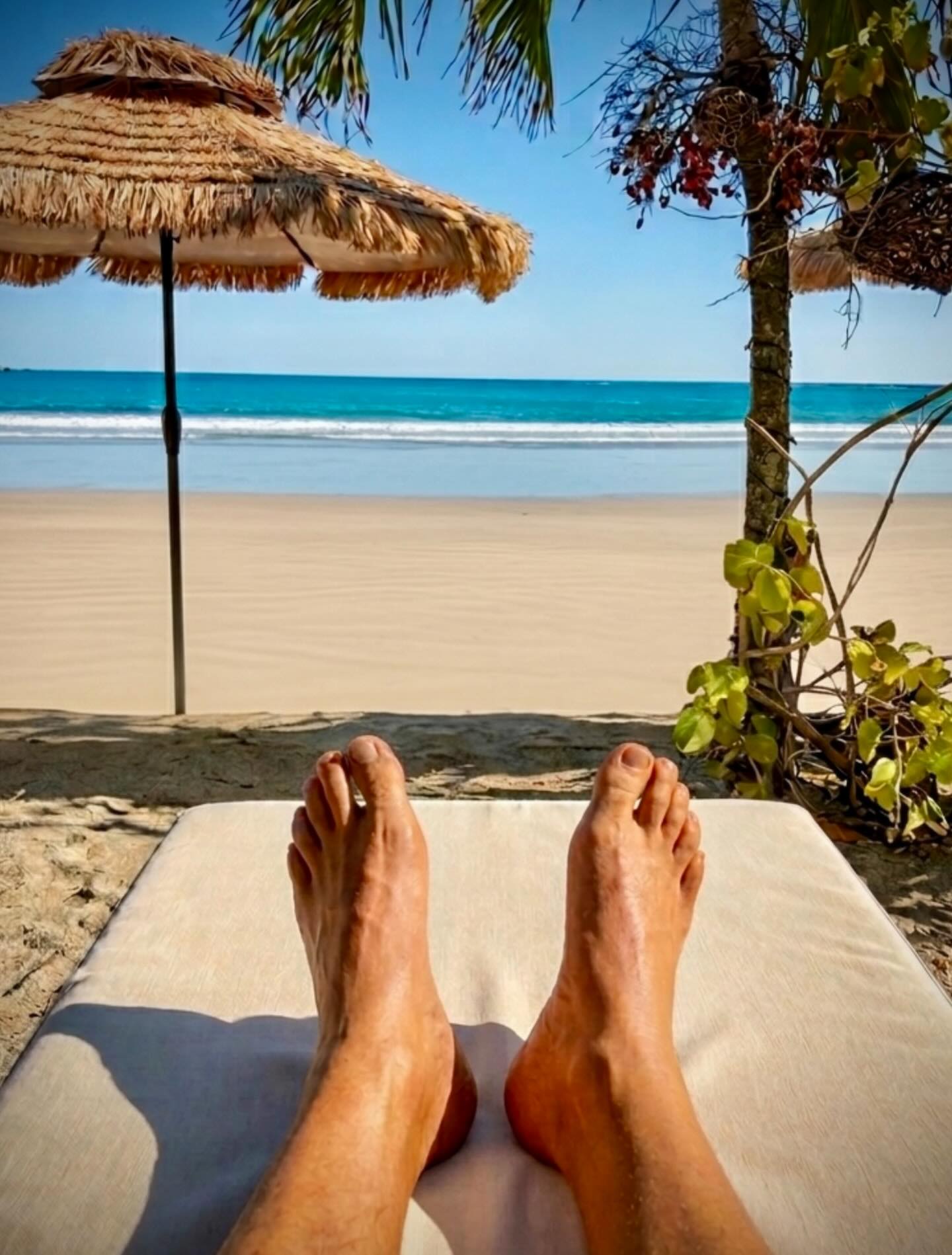 Feet up. Breath slow. Heart open. 🌴☀️🌊
Today is one of those sacred reminders that life isn’t meant to be rushed through — it’s meant to be felt. Lying here under a palm tree, listening to the rhythm of the ocean along the Costa Rican coastline, I’m letting myself fully receive the beauty that’s right in front of me.
There’s something powerful about giving yourself permission to rest… to simply exist in a moment where nothing is required except presence and gratitude.
Today, I choose peace. I choose sunshine. I choose this view. And I choose to let the ocean hold me exactly where I am.
#TheRoccoPink #CostaRicaVibes #OceanHealing #BarefootMoments #GratefulHeart