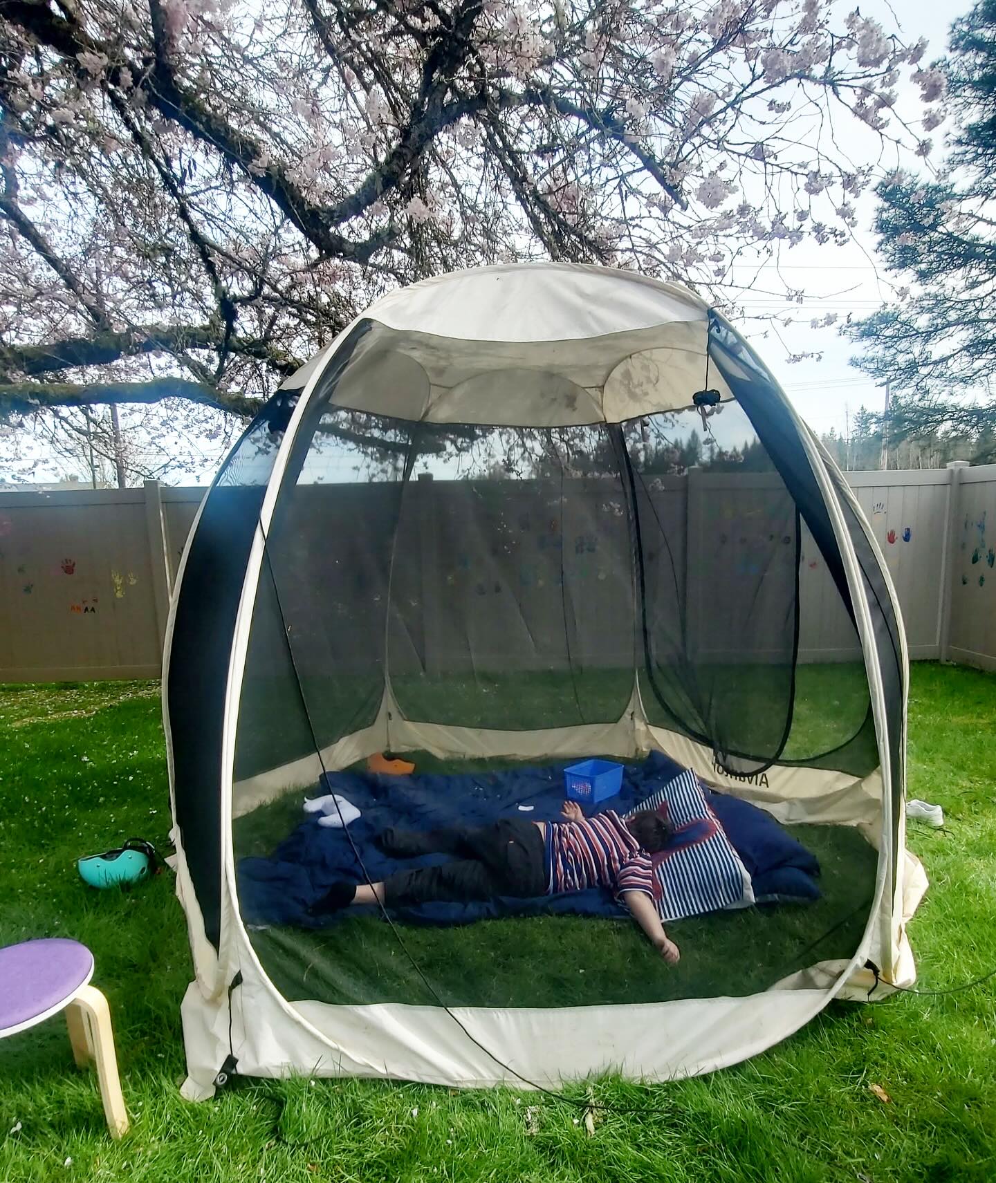 Happy Easter!
Happy Spring!
May K’s relaxing picnic in a tent under our blossoming cherry tree inspire you today to find time to relax, enjoy the beauty of this season, and simply “be”.
Thank you, K, for showing us how to celebrate the simple moments in life and make them something special 🏕️🌸