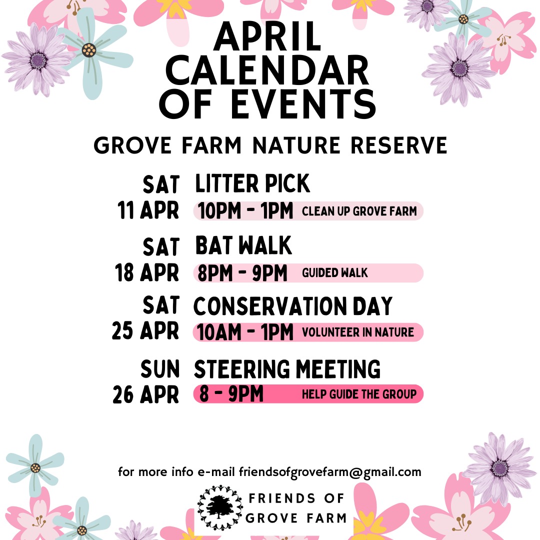 Join us this April for an adventure with Friends of Grove Farm! Whether it's a guided walk 🚶 or an activity day 🛠️, we’d love to see you at Grove Farm nature reserve! Link in Bio for our contact details.
#naturelover #conservation #friendsofgrovefarm