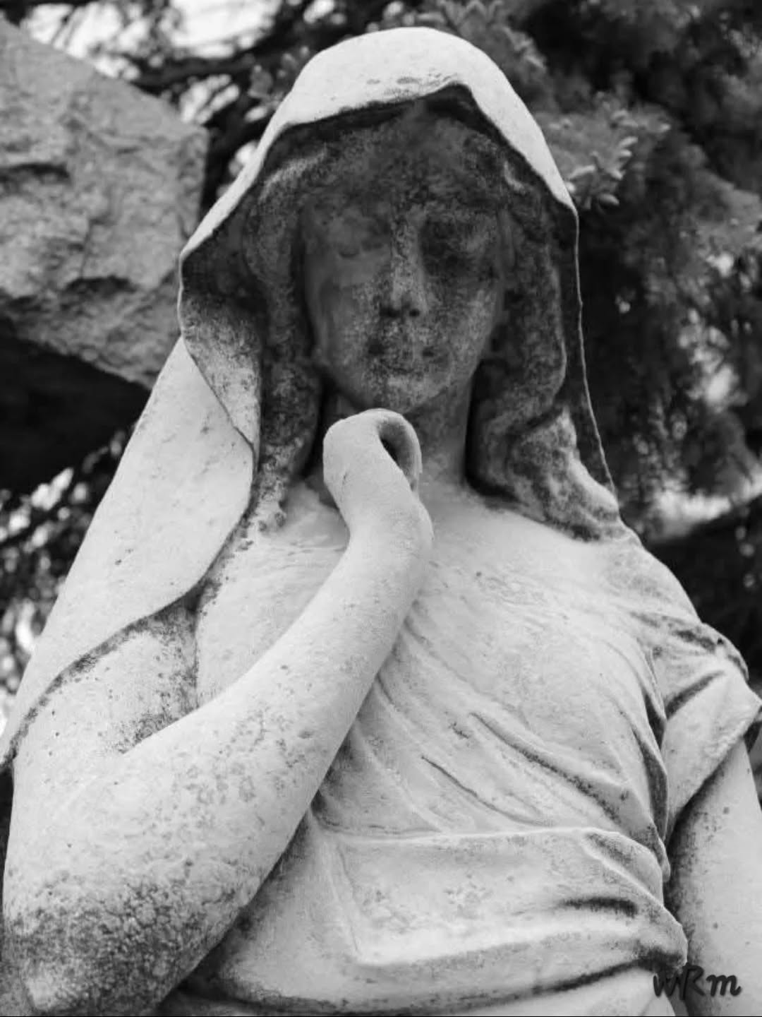 Irving Park Cemetery, Irving Park, IL
#cemeteryphotography #tombstonetravels #taphophile #Cemetery #cemeterystatuary