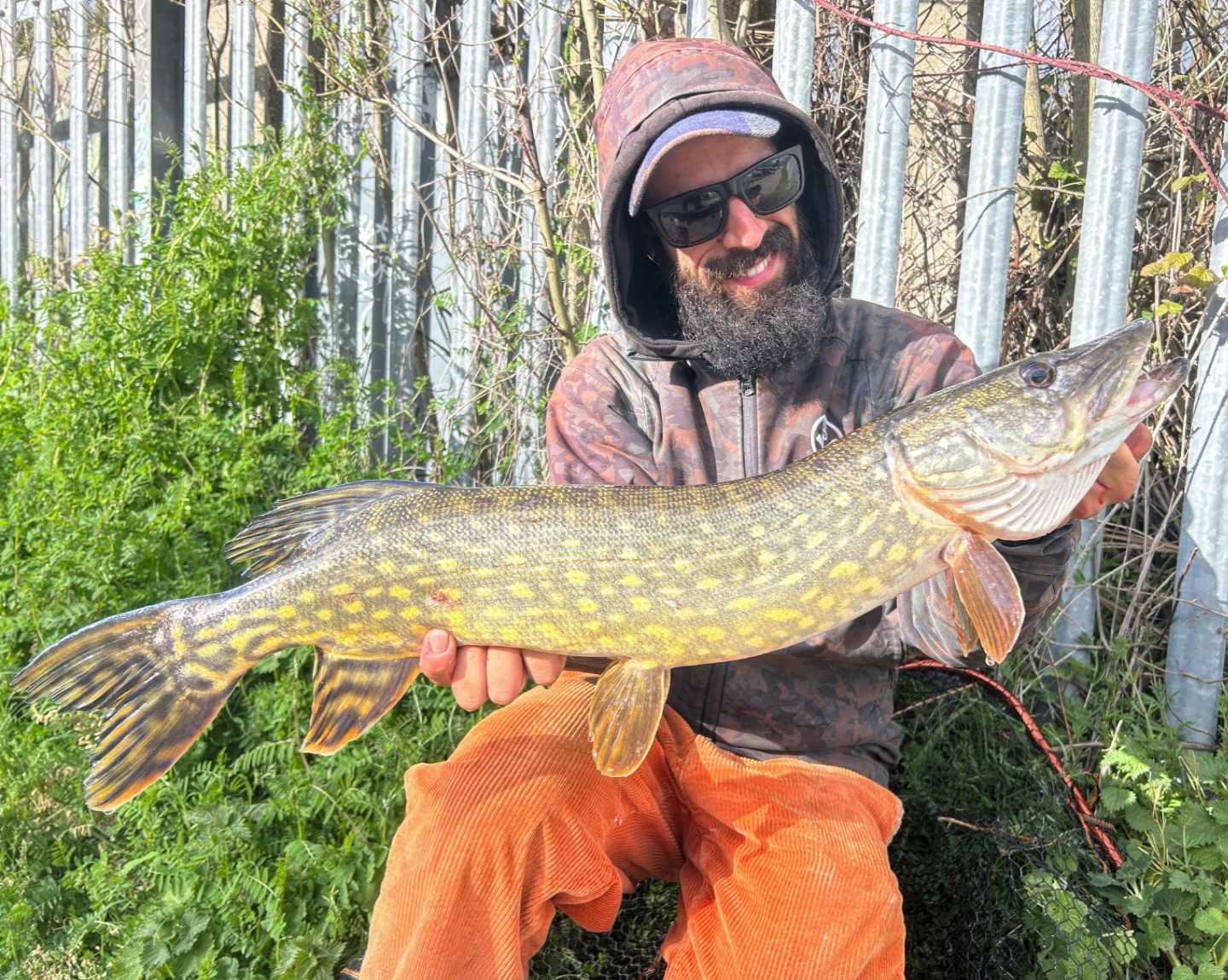 HAPPY EASTER! 🐣
.
This stretch of London canals used to be something special about five years ago a proper hidden gem where every session felt full of promise. Over time, things have changed. More pressure, more anglers, and you can feel it’s not quite what it once was.
But still… it hasn’t lost everything.
If you put in the effort and really read the water, you can still find those pristine fish perfect fins, no scars, proper wild-looking specimens that remind you why you fell in love with it in the first place. It’s proof that despite everything, the fish are still holding on, still thriving in their own way.
Caught this one in good company, as always my partner in crime, @romanjaycee82 . Moments like this make you appreciate what’s still there, not just what’s been lost.
.
#fishing #pike #pikefishing #london #londoncanals