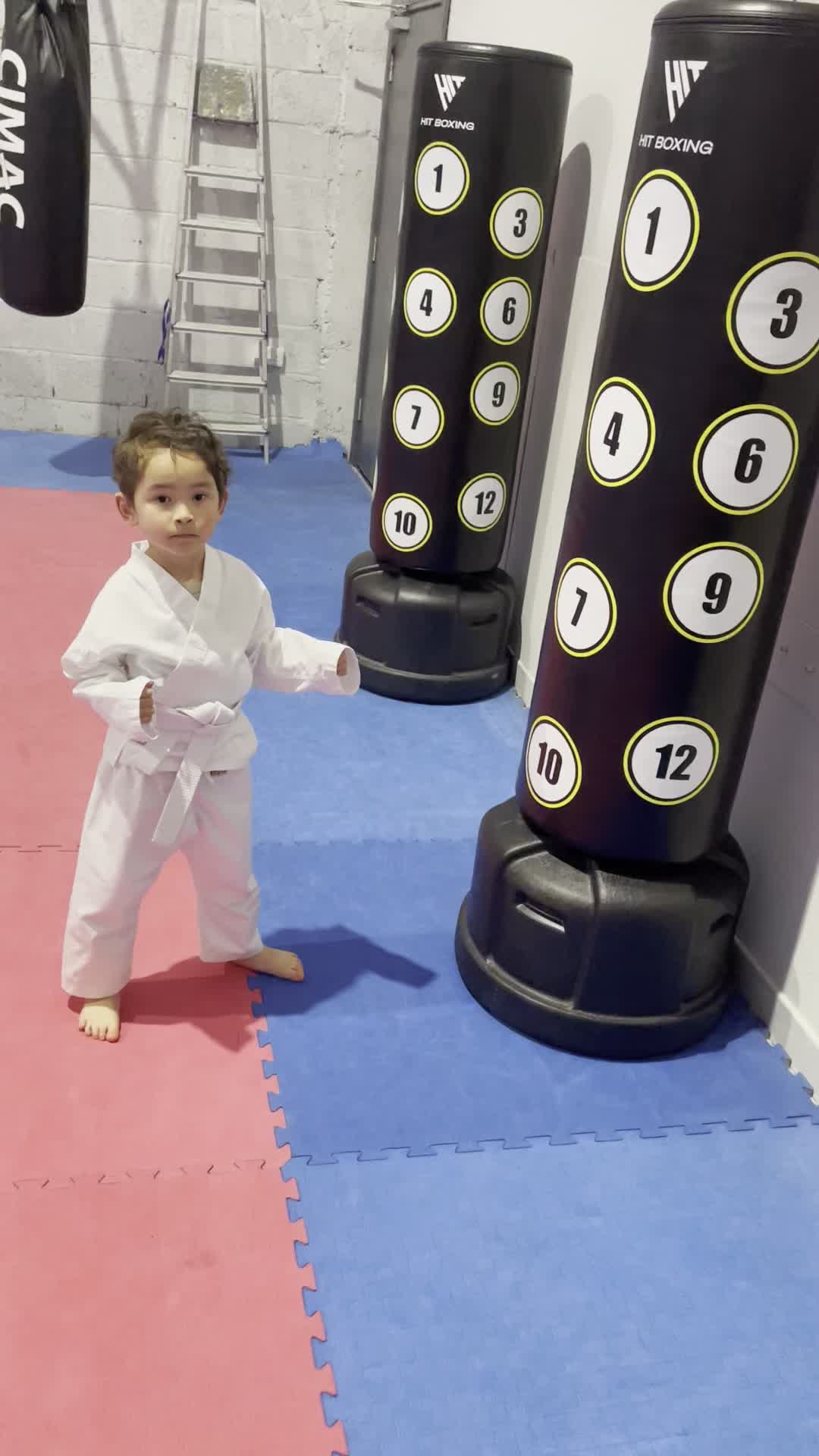 Age 3-4 class at Meath Martial Arts. It’s amazing what they can learn.