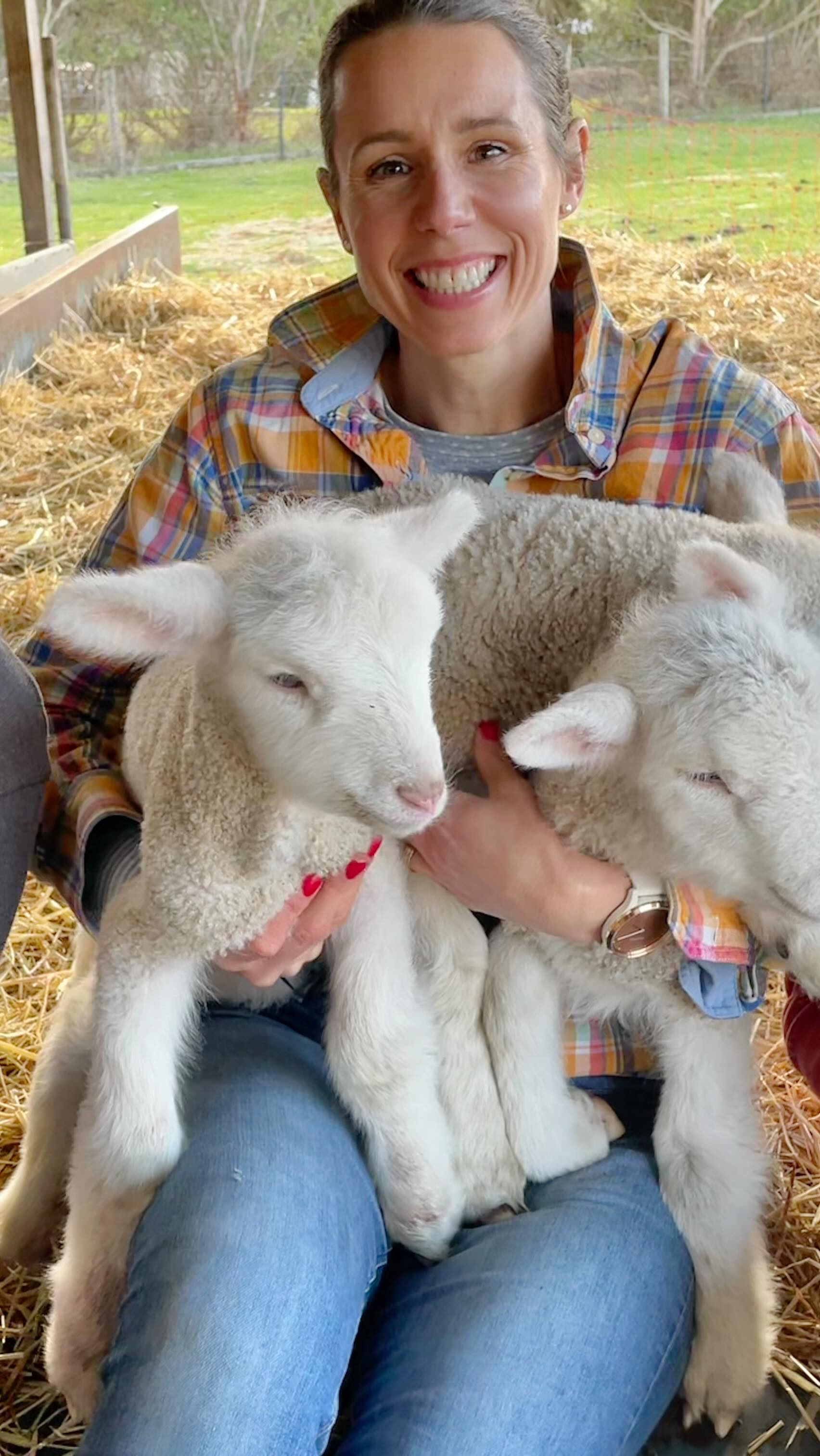 Not that long ago, our life looked like this. Weekends were spent rugged up, doing jobs around our rural property in Victoria; woodcutting, lamb snuggling, bonfire-prepping, gardening, non-negotiable beach walks even in the rain, kids sports and lots of baking.
And when the weather was good, swimming, surfing, fishing and hikes through the mountainous national park on our doorstep. Our children were primary schoolers, our families were a short drive away, and my 9-5 was spent writing stories about strong country women, orphaned lambs and farming families with the odd skeleton or two in the cupboard.
It seems like yesterday, and at the same time, it’s poles apart from our new life in the Top End!
I was telling one of my new friends about this at the library yesterday, and he told me it sounded just like his dream life. A piece of land, some farm animals and maybe even a horse… so different from where he hails from in northern China, with snowy winters and a cool 10-million residents in his hometown, and certainly different to our tropical days here in Darwin.
There’s many things I love about our new home, but the multicultural aspect is one of my favourites. Everyone has such a unique story about moving to the Territory, and most amusingly, many start with ‘I’d only planned to stay a year…’.
This video mash-up’s for you, Harry!