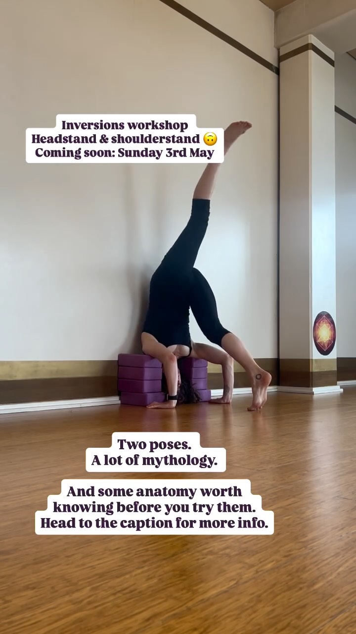 Join me on Sunday 3rd of May at @yogaground_greylynn for my next workshop!
🌀 Headstand 🌀
Is kind-of misnamed. It’s really more of an arm balance - and the distinction matters, because the cervical spine is designed for mobility, not for bearing weight for extended periods. There are many practical ways to explore getting into headstand with good support and a patient, well-informed approach.
🌀 Shoulderstand 🌀
I always teach this pose with proper support underneath the shoulders - allowing the upper back to lift, the spine to find length, and the neck to stay out of an extreme position.
In this workshop we’ll work through both poses carefully, with proper props, and find the version that makes sense for you.
Multiple pathways. Options for everyone. No prior inversion experience needed.
More info and bookings at the @yogaground_greylynn website.