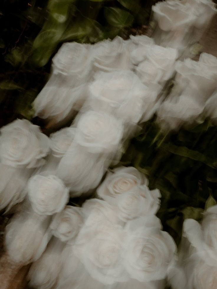 Imagine you have your favourite flower on your gown...
Margot is that special something on your day 🤍🌹
.
.
#designingtheday #weddinginspo #roses #bridalinspo #fyp