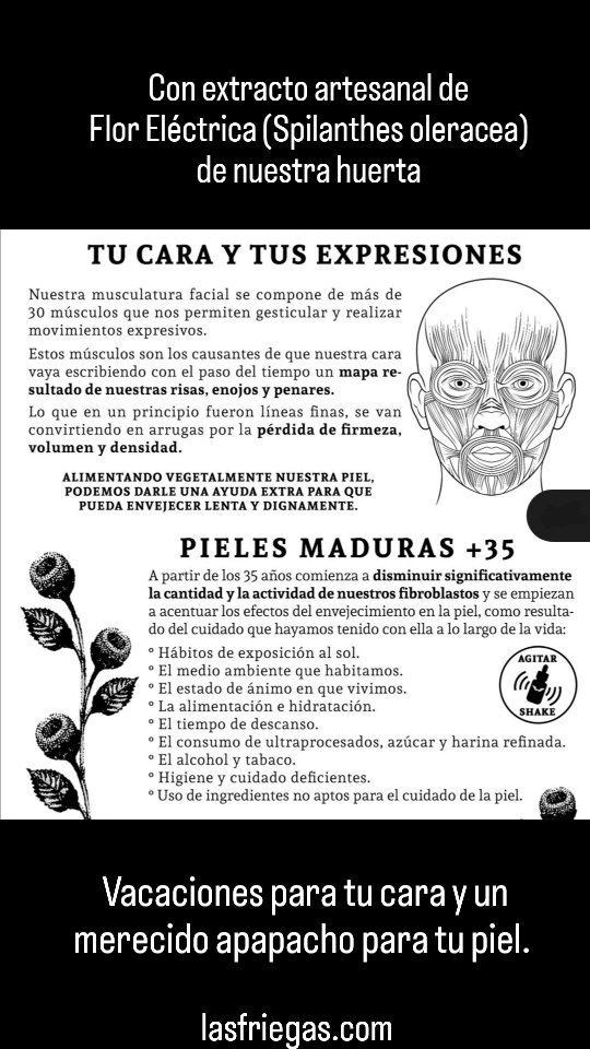 Vacaciones para tu cara y un merecido apapacho para tu piel. Nuestros Sérums PAUSAE tienen esa misión.
Gracias a sus aceites y el extracto de nuestras Flores Eléctricas, cultivadas con mucho amor, ofrecerte un efecto miorrelajante, lo que la hace muy preciada para el cuidado de la piel por su suave efecto btx en aplicación tópica, además de fortalecer redes de colágeno e incentivar la producción de elastina, cuyos niveles van disminuyendo al envejecer.
Así que a celebrar más la vida que los años.
Por esto y muchas cosas más, es una de nuestras plantas consentidas exóticas mexicanizadas de la huerta y parte de nuestras Tinturas Madre y nuestros Sérums Faciales.
#spilanthesoleracea #latintureria #botoxvegetal #paracress #lasfriegas