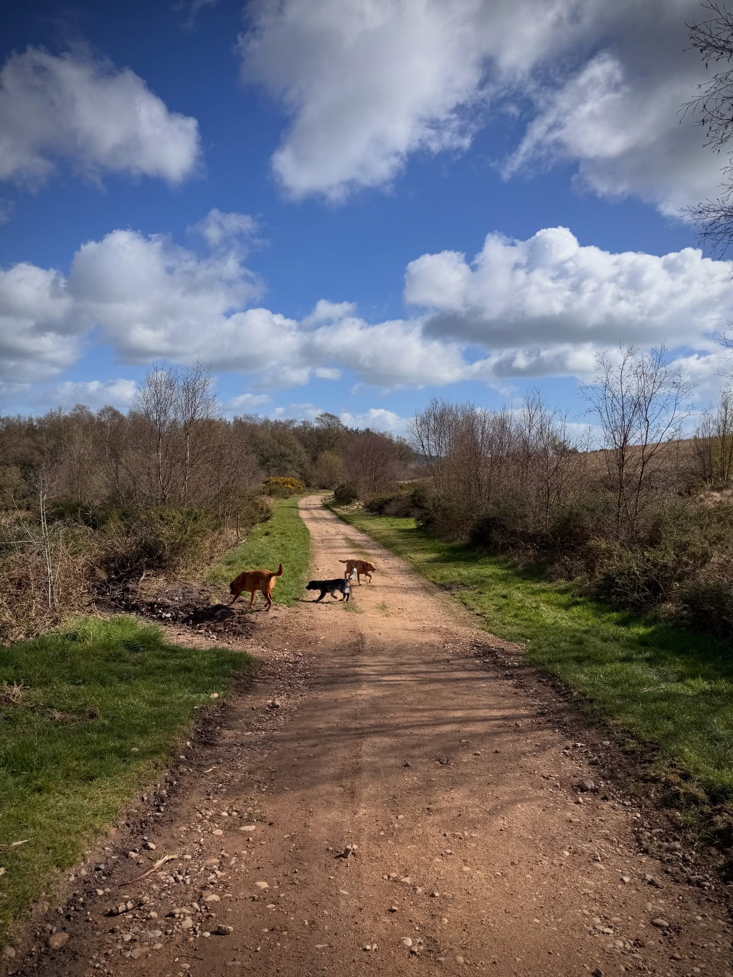 Wednesday Woodbury squad