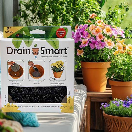 Turn your patio or balcony into a lush pocket garden this spring — no raised beds required. Discover how smarter drainage for potted plants helps them thrive, keeps roots healthy, and makes container gardening low-maintenance and portable. Read the full guide and get pro tips at: https://drainsmartusa.com/blog. Purchase your Drain Smart discs on Amazon or at drainsmartusa.com.
#PocketGarden #ContainerGardening #SpringGardening #DrainageTips #UrbanGarden #PlantCare