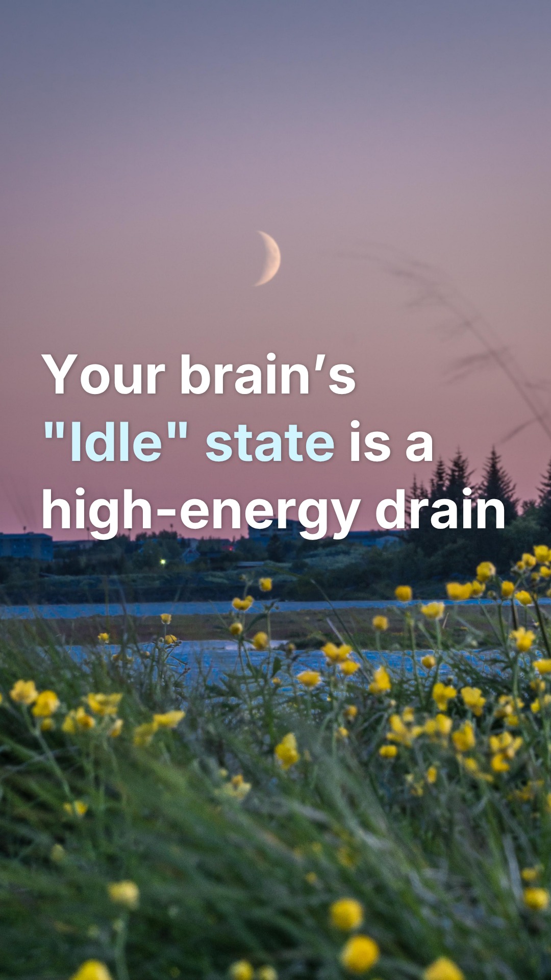 Ever wonder why you feel exhausted after a day of "doing nothing"? 🧠🔋
It is likely your Default Mode Network (DMN). This is the brain's internal circuit for daydreaming, reflecting on the past, and worrying about the future. While essential for creativity, an unmanaged DMN often defaults to a loop of self-criticism and "what-ifs." 🔄
For high-performers in Toronto, the challenge isn't just working harder—it’s learning how to turn off the background processing. At VMA Psych, we provide the clinical tools to help you shift from DMN rumination to active presence.
Stop letting your "idle" state drain your battery. 🔗 Link in bio to audit your cognitive load.
#DefaultMode #DMN #Neuroscience #BrainHealth #VMAPsych #CognitiveLoad #MentalPerformance #TorontoHighAchievers #Neurobiology #MindfulnessScience #ClinicalExcellence #BurnoutRecovery