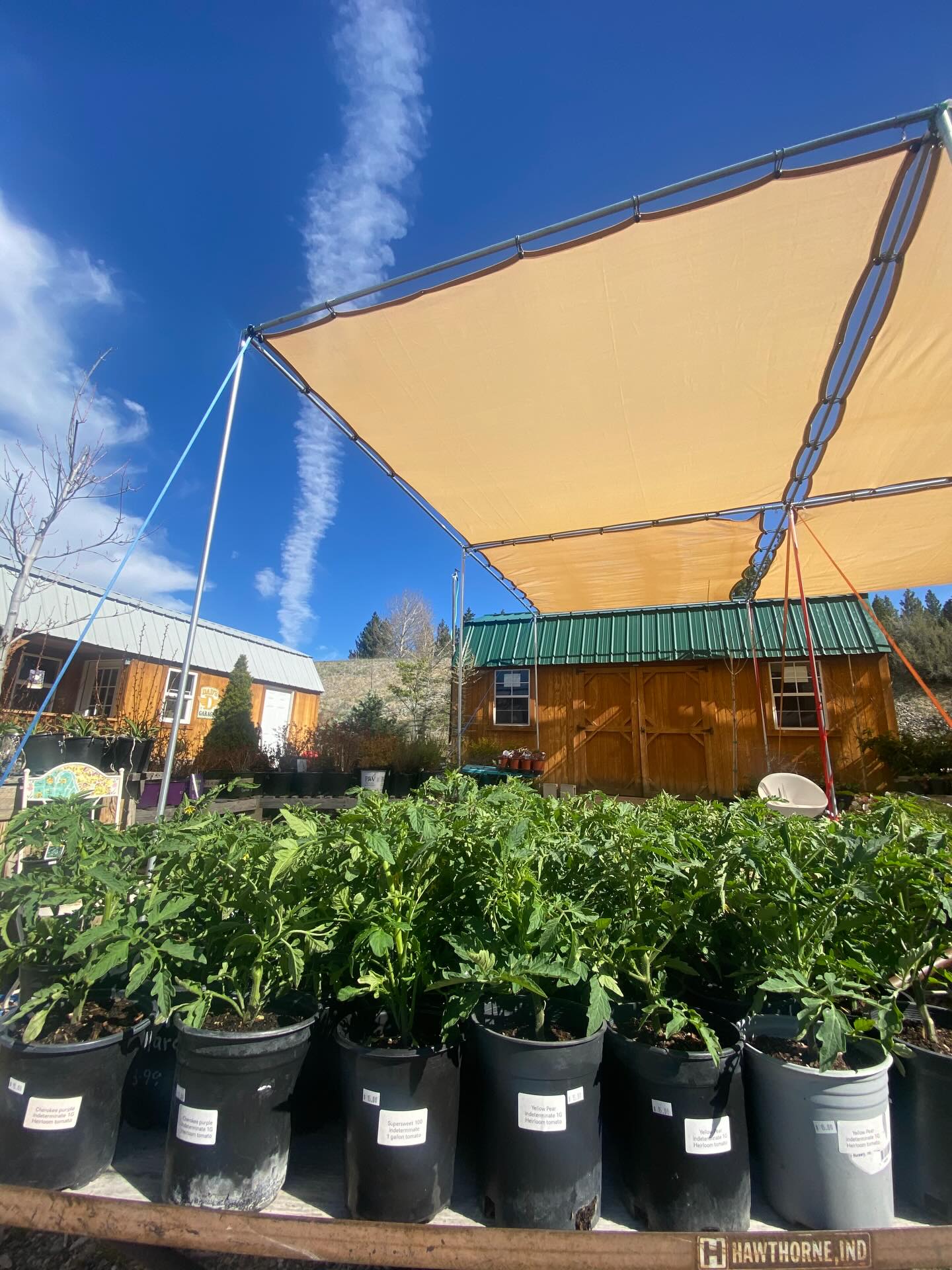 Happy Easter! We are here and have some very cute tomato starts from @sasquatch_farm for our friends who want a head start and can keep them warm on cold Spring nights 🍅
Open: 9am-4pm
Thursday-Monday