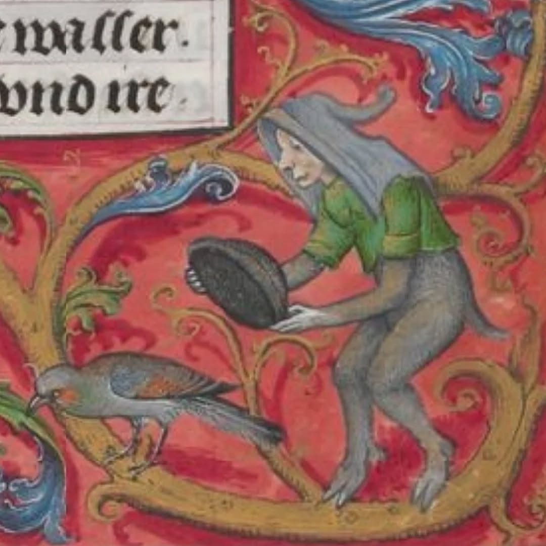 Marginalia dans un Livre d'Heures, 1520. Vienne, ÖNB, Cod. 2730.
#medievalmanuscript #medievalart
#medieval