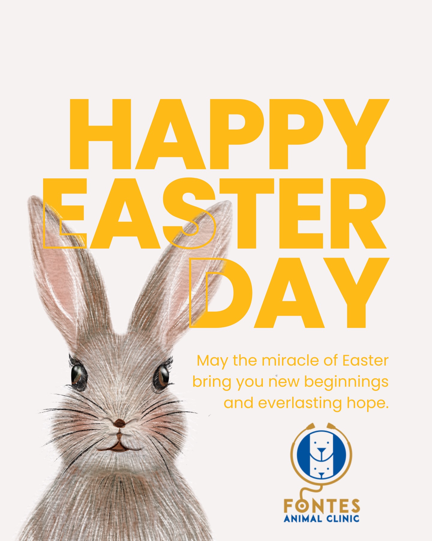 🐰✨ At Fontes Animal Clinic, every day feels like Easter… 🌷
Because caring for your pets is all about love, new beginnings, and happy tails 🐾💛
Wishing our amazing clients and their furry family a beautiful Easter full of cuddles and joy 🐶🐱
#FontesAnimalClinic #HappyEaster #PetLove #FurryFamily #SpringVibes VetCare