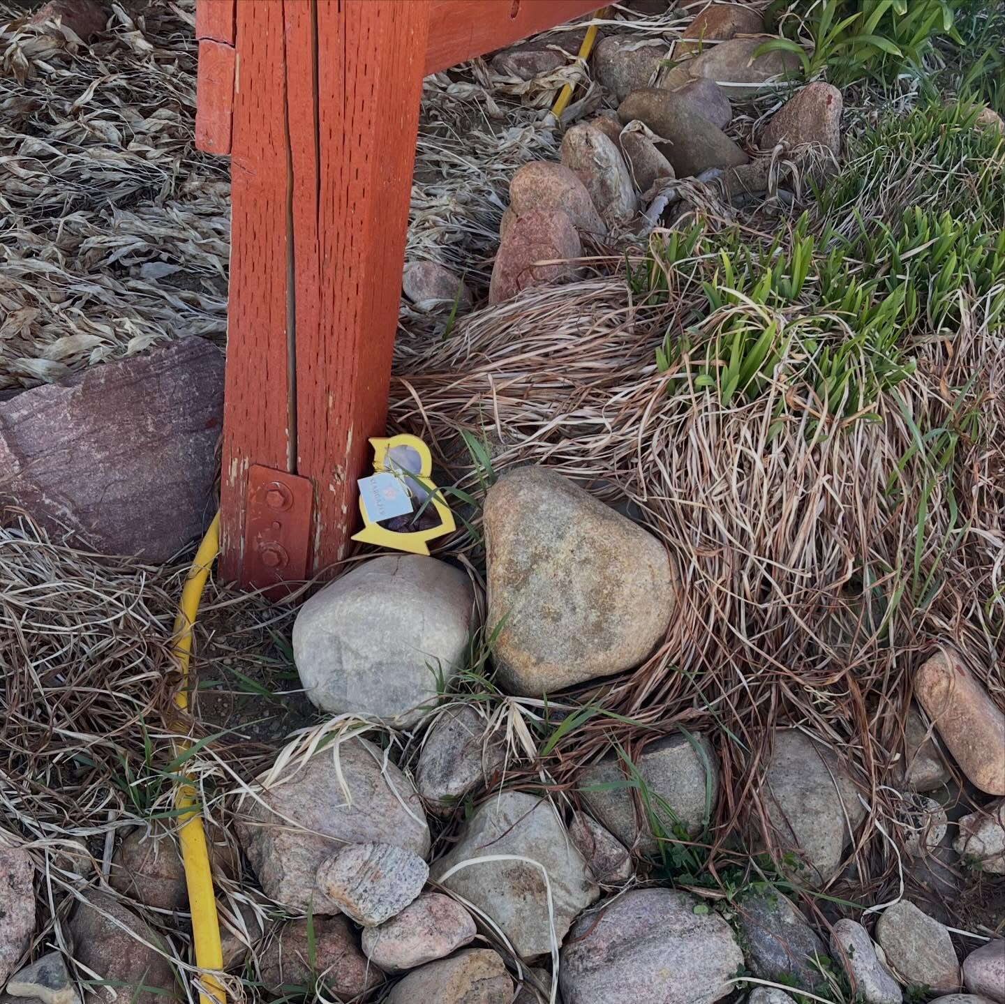 Happy Easter!
We hope you had a beautiful Easter Day with your family and loved ones!
Here are some Stargazer egg hunt pictures for you! Tag us in your pictures!
And if you celebrate this coming Sunday, be sure to stop by for a few treats!
#easter #easterchocolate #stargazerfinechocolatesandcoffeebar #denverchocolate #denversmallbusiness