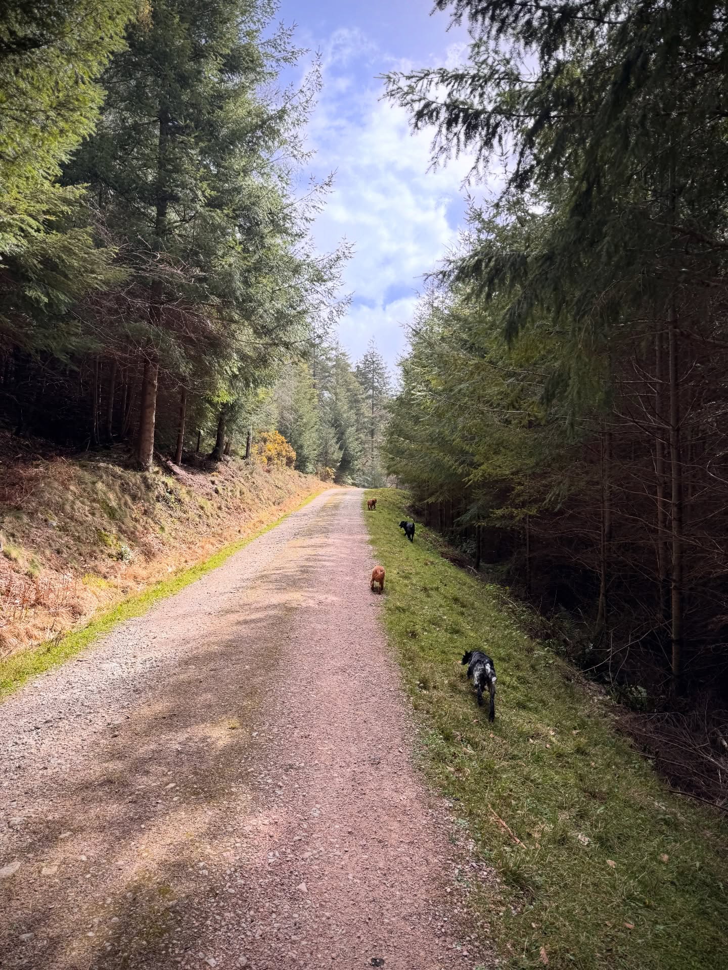 Monday’s squad. No Olive this week. She’s on holiday in Cornwall living her best life!