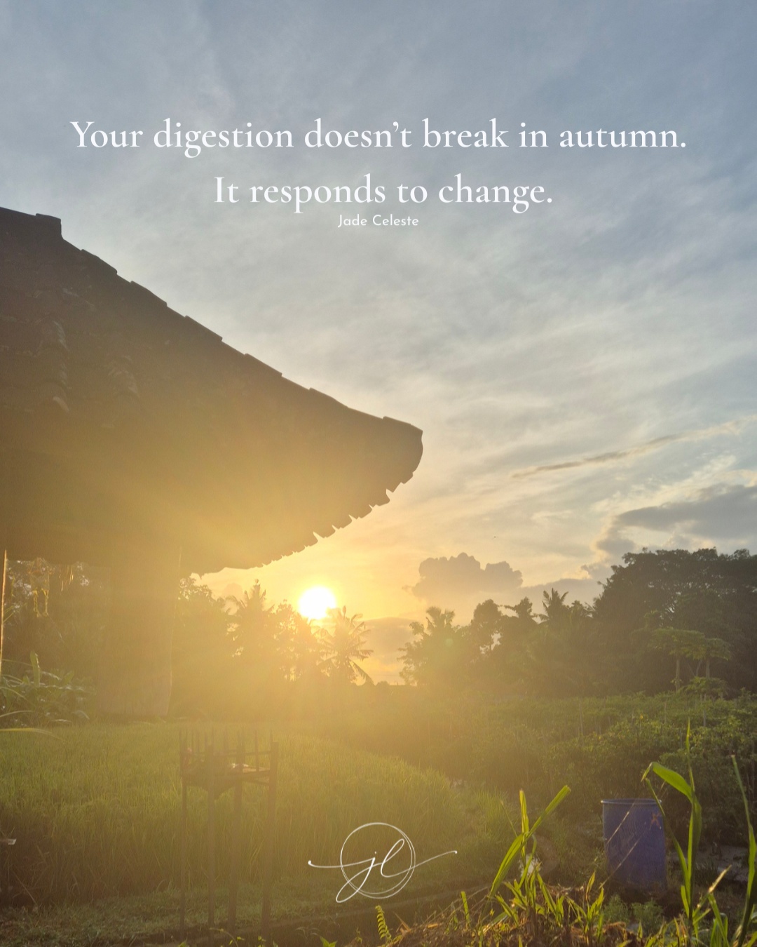 This is one of the most common things I see with clients each autumn...
Your digestion doesn’t break in autumn.
It responds to change.
As the season shifts, so does your body.
Cooler air, more movement, less routine. All of this can unsettle digestion.
That’s why things can suddenly feel inconsistent… even if nothing else has changed.
This isn’t your body failing.
It’s your body asking for something different.
More warmth.
More rhythm.
More nourishment.
Start simple.
A warm meal. Eating a little slower. Adding gentle spices.
Small shifts can bring your digestion back into balance.
Save this as a reminder to work with your body this season🍂
With love,
Jade x
#ayurvediclifestyle #guthealth #agni #digestiontips #holistichealth