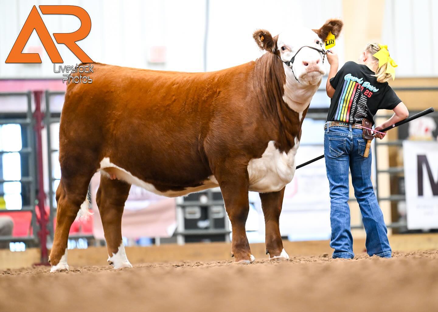 Let’s take a “Red Dirt Road Trip”🚗
Oklahoma Hereford Association thanks for having us out to photograph the show each year!
📲Use the code below for 25% off all purchases (valid now-6/6)
👉Code: OHA
📸View all images from the show at
https://alexisradunlivestockphotos.shootproof.com/gallery/22929003/
For all other shows and information visit ⬇️
ALEXISRADUNLIVESTOCKPHOTOS.COM