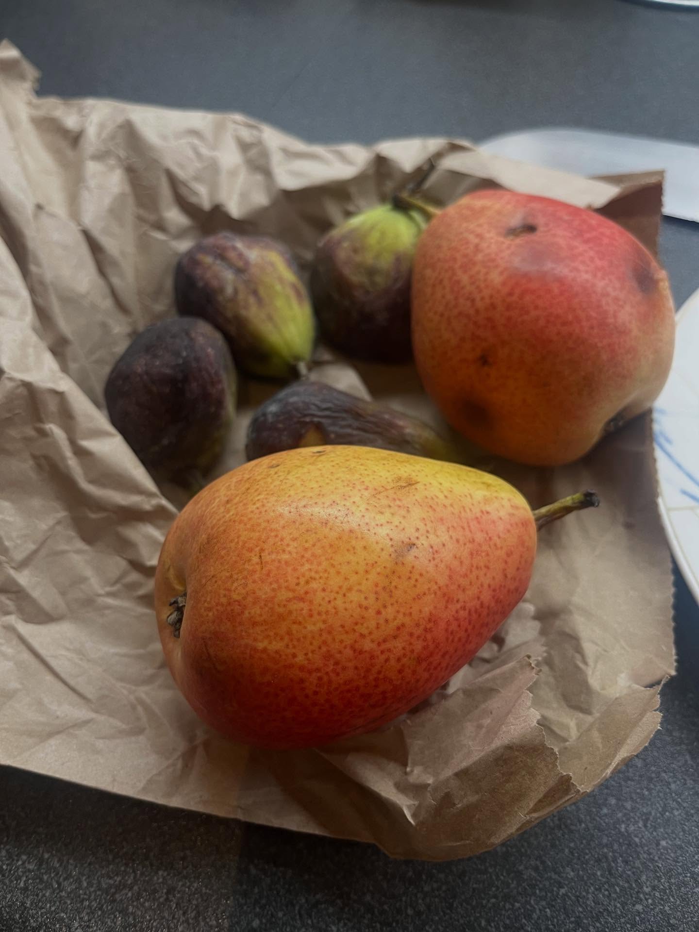 Overly transfixed by this beautiful fruit.