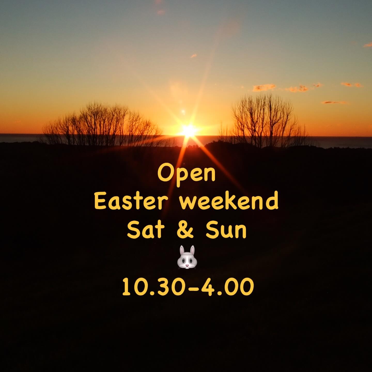 Hi folks, we are back from holiday and open Easter Weekend, Sat and Sun
10.30-4.00
🐇🪺🐇