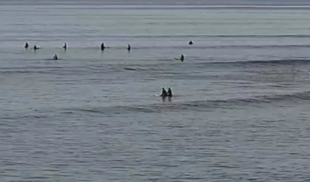 Nathan and I did a mini paddle out in honor of my Mom. We held hands, wished her a Happy Easter and told her we love her. This is only the second time I've paddled out in over a year. It's like starting over but in the best way possible.