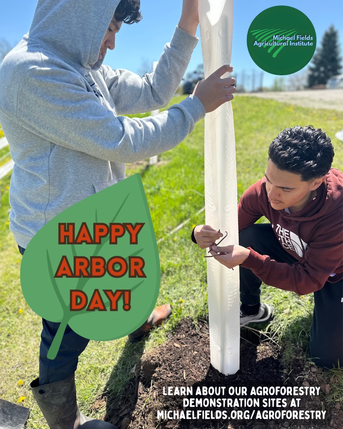 Happy Arbor Day from Michael Fields Agricultural Institute! Planting trees is something we are really excited about in 2026. Do you know about our “Showcasing Agroforestry in South East Wisconsin” initiative? We have been working with farm and community partners at four publicly-accessible Demonstration Sites - two rural and two urban - to plant trees and shrubs that integrate with crops, gardens, and livestock to provide additional income and ecosystem services.
You can learn more and help out by participating in two upcoming work days in Milwaukee on May 9 and May 16! One will be at Kohl Farm Community Garden and the other is at @hawthornglenmke. Grab a shovel and heal the planet. See michaelfields.org/agroforestry for more information.
Celebrate Arbor Day by donating to our Spring Fund Drive: “Planting Seeds for a Regenerative Future” and helping us get more more trees in the ground! Give at michaelfields.org/donate 🌲