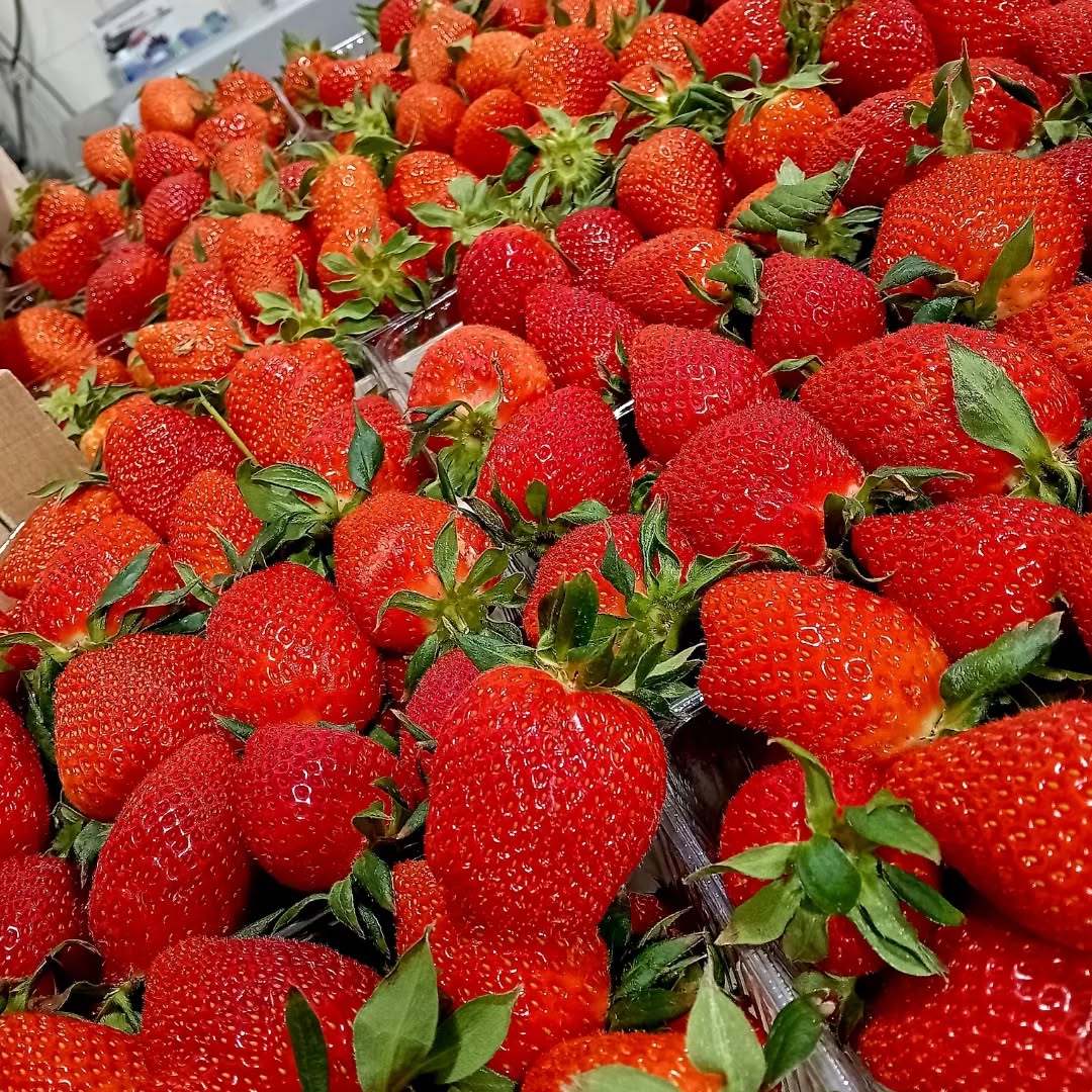 Ζουμερές κατακόκκινες φράουλες μετατρέπονται σε δύο μοναδικές μαρμελάδες γεμάτες άρωμα και γεύση🍓