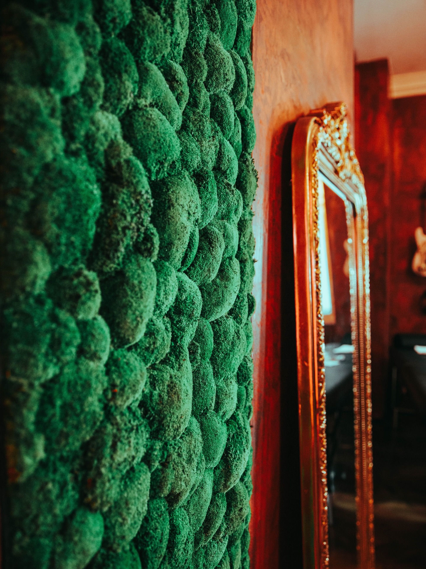 Our green moss wall is still here and going it thing. Nearly 5 years old … where does the time go.