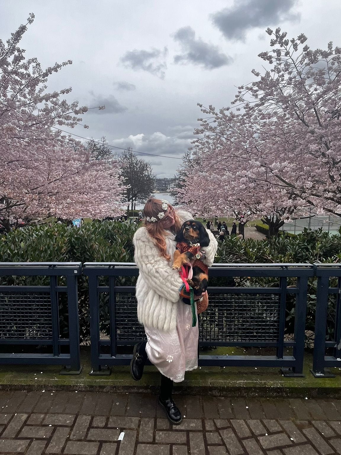 Cherry blossom festival season has begun, and with it, I am approaching my 30th year of life, feeling trepidatious, grateful, and ready to blossom. 🌸✨🌸 Also thanks to @lenimotohair for the pink hair moment.❤️