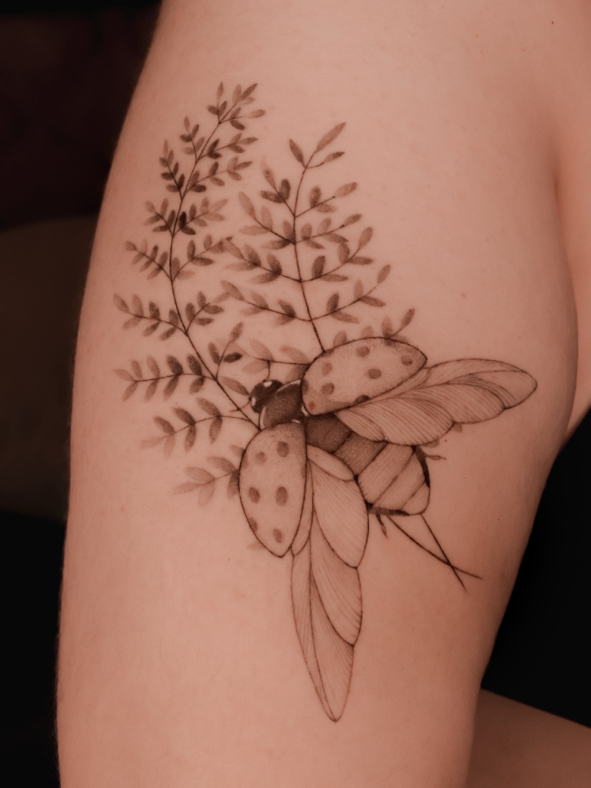 C I C A T R I Z A D A
Catarina con helecho para Anita 🤍✨
Aquí ya está cicatrizado 🥰
Gracias por confiarme tantos helechos!!!
#ladybugtattoo #finelinetattooartist #tatuadoramexicana #cdmxtattoo #botanical