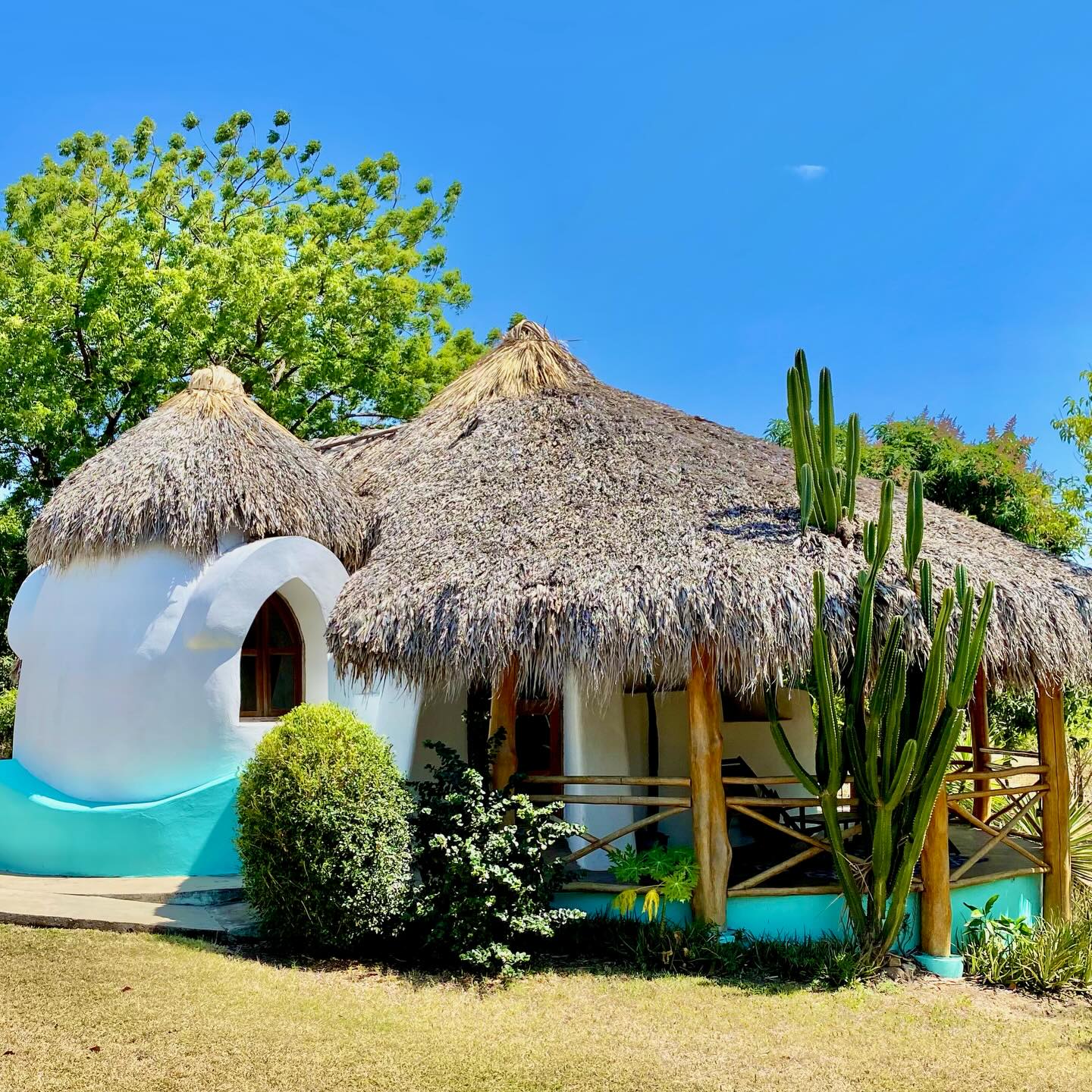 I built this place from nothing.
Every structure, every wall, every detail was created by hand right here on this land. Earthbag homes, concrete, brick, natural builds. Each building was a lesson, a challenge, and a journey that shaped everything you see here.
Our furnishings are made locally by hand. Beds, mirrors, tables, paintings, art. Much of what you see, we have made ourselves.
This space is not just in nature. It is inspired by nature. Designed to feel grounded, calm, and deeply supportive for healing.
Fully solar powered with clean well water, integrated greywater and rainwater systems, on-site gardens where we grow our own food, and a space that is constantly evolving and growing.
We can host up to 16 guests, yet everything still feels personal, intentional, and held.
At the core of it all:
Food as medicine.
Nature as medicine.
A place to reset.
A place to recalibrate.
A place to come back to yourself.
Everything here, every small detail and every big element, carries intention.
Built to support transformation.
And every piece holds a story.
GLOnicaragua.com
#healthcenter
#builtfromscratch
#offgridhomestead
#businessconsulting