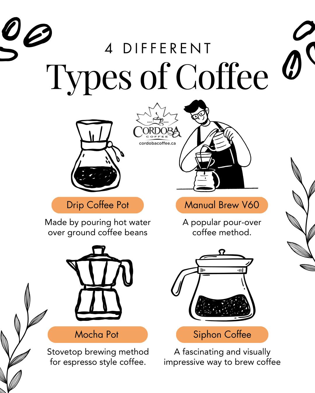 Great coffee can be brewed in more ways than one, and each method brings out something different in every bean. From slow pour overs to bold drip brews, and from refreshing iced creations to the art of syphon brewing, there’s always something new to explore in your daily cup.
👉 Discover your favourite in store, grab your beans with cash and carry, or order on Uber. We’re open 7 days a week ☕
#localcoffeeroaster #canadian #canadianproducts #roastedincanada #caledon #explorecaledon #lovelocalcaledon #curiositytoronto #ontario #sunflowerfarm #discoverontario #exploreontario #agritourism #inglewood #discoverontario #VisitYDH #OntarioTravel #AgritourismOntario #FarmFreshFun #visitcaledon #cordobacoffee #bloggersofcanada #espresso #espressolover #coffeelover #coffeeislife #coffeegram #coffeelovers #supportlocal #coffeevibes