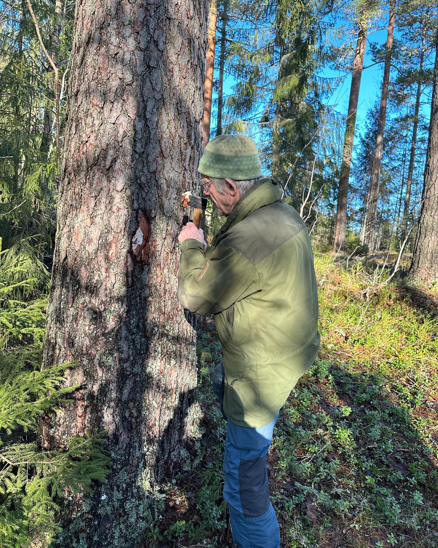 I helgen var vi på tur i skogen å lærte om materialkvalitet av Jon Bojer Godal . Veldig inspirerende og spennende å lære.
📸 @nicolaigrondahl (fra 3. foto)