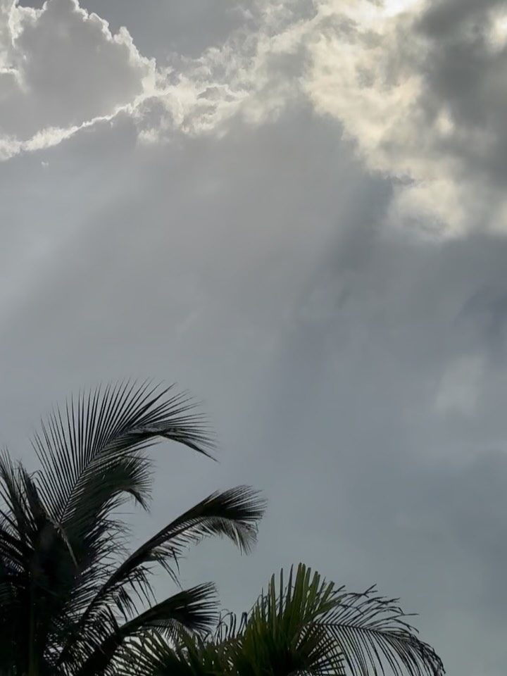 March was good🌴☀️📸✨