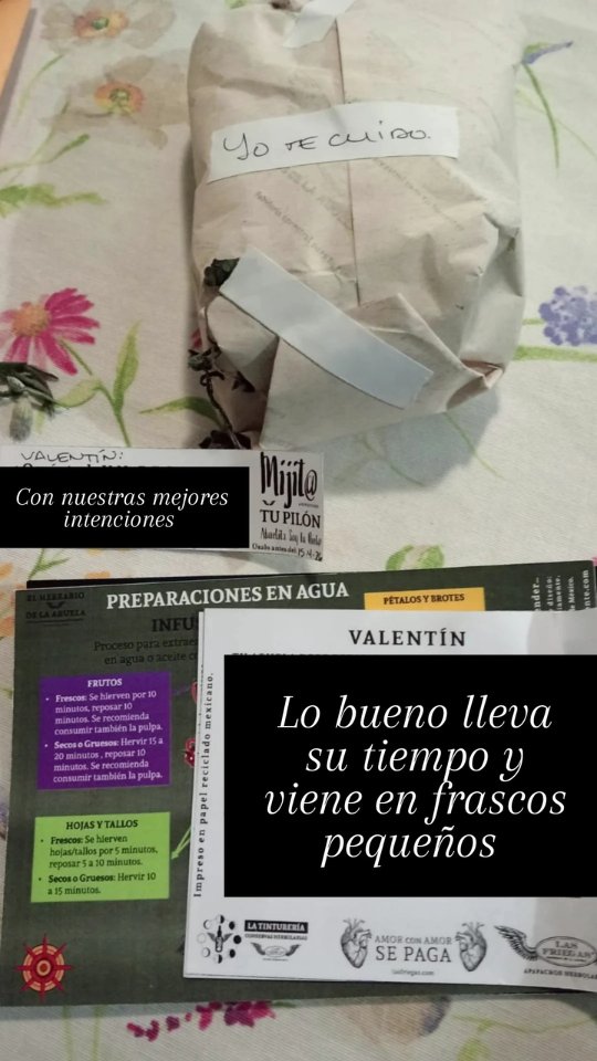 De hogar a hogar. Yo te cuido 🌱
#lasfriegas #latintureria #tinturamadre #yotecuido #herbolariaartesanal