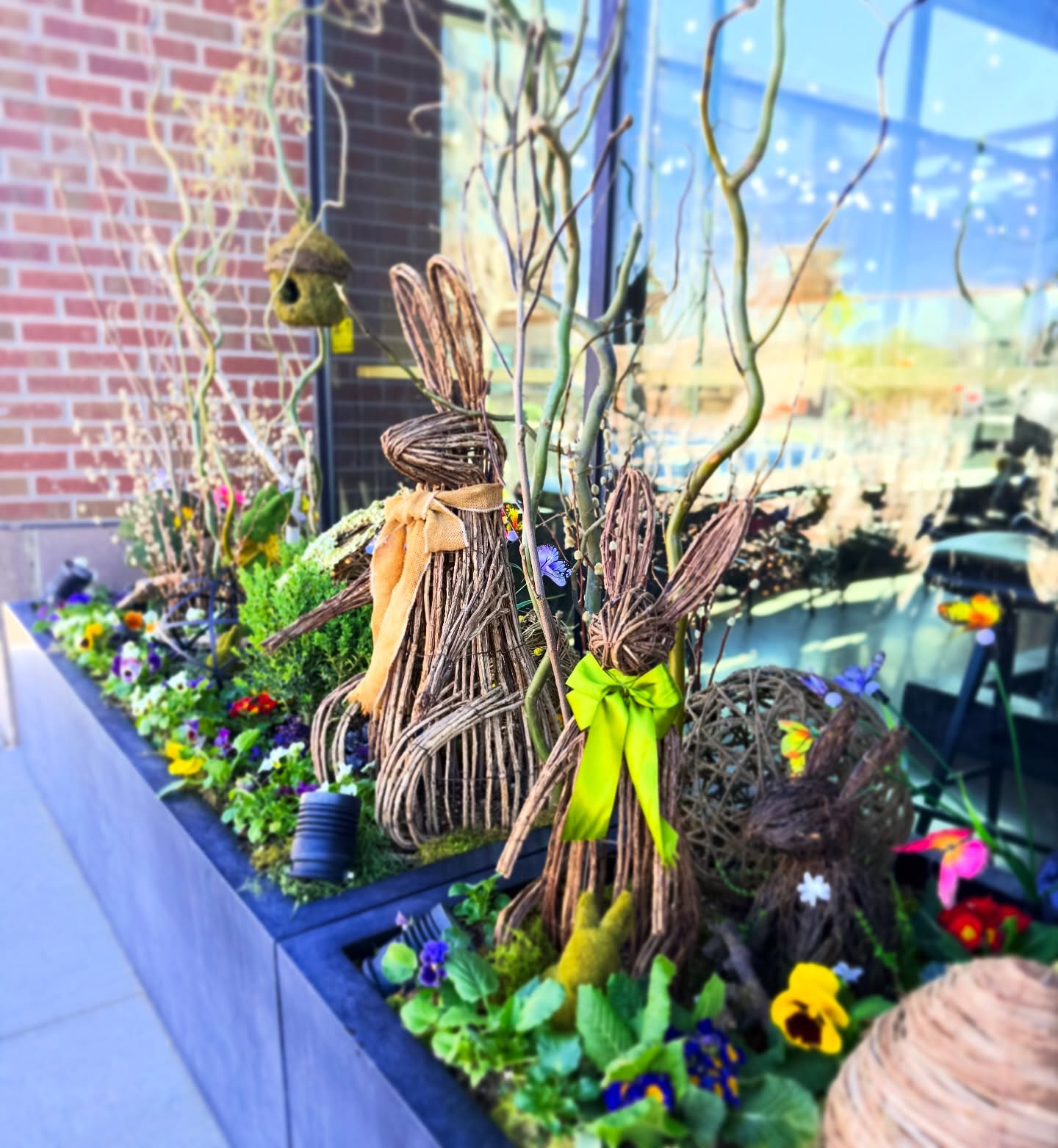 The Easter Bunny has been bringing some beautiful springtime weather around Downtown Castle Rock 🐰