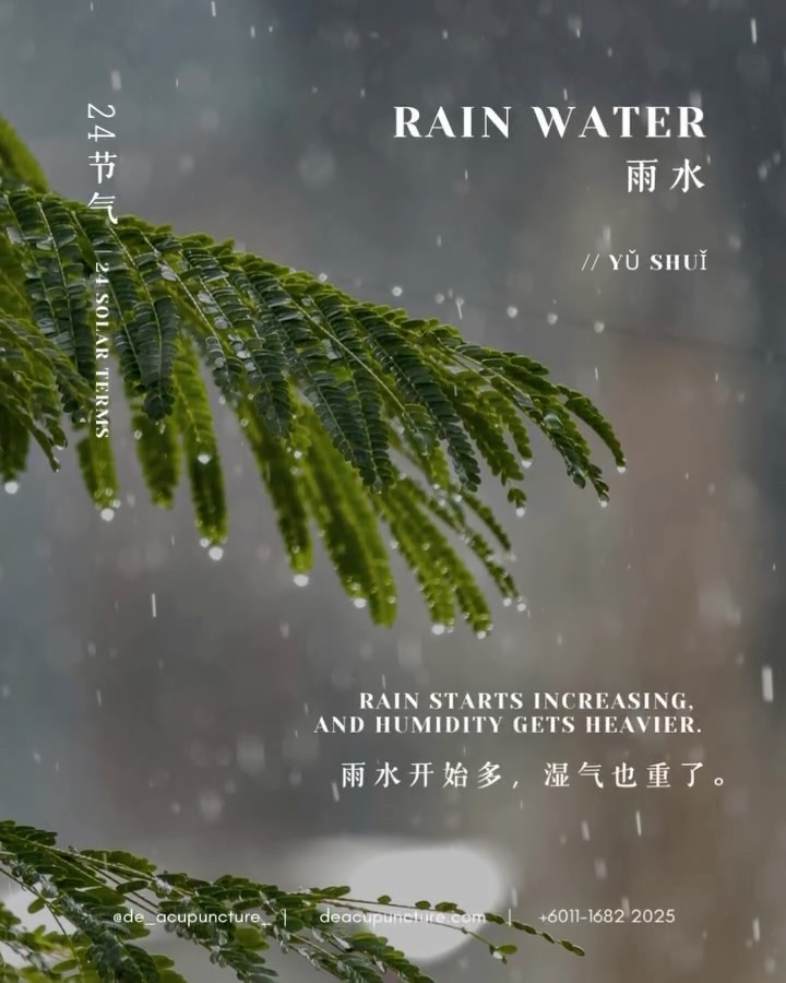 Why Are You SO Tired Right Now? 😴 It’s The RAIN! 🌧️
Feeling heavy, sluggish, and like you’re moving through kuih batter? 😩 Don‘t blame your boss or Netflix—it might be the weather!
Right now is the Rain Water (雨水 - Yǔshuǐ) solar term. This means the Yang energy is rising, but so is the DAMPNESS 💦 in the air!
In TCM, this dampness loves to attack your Spleen and Stomach. When your Spleen gets damp, your digestion slows down, and energy (Qi) gets stuck, making you feel weak, bloated 🤰, and foggy-headed.
It’s like a car engine trying to run in the mud! 😫
The TCM secret is to eat foods that ”dry“ the dampness and strengthen your Spleen, like barley, red bean, and yam (Chinese Huai Shan). Time to ditch the cold drinks and embrace warm soups! 🍲
BUT—here’s the key part: While dampness-clearing foods help, blindly eating them won‘t fix the root cause of your body’s imbalance.
An overly weak Spleen from years of bad habits needs more than just a bowl of barley. Using the wrong approach can actually make things worse! 😱
Have you tried all the liang teh in the world but still feel heavy? Tell us in the comments! 👇
That‘s why you need a customised plan. Don’t just follow random dietary tips! Consult our qualified TCM practitioners at 医心医意中医坊 De Acupuncture x Herbs Centre first.
We‘ll identify your exact imbalance—is it Spleen Damp-Heat, Cold-Dampness, or just Qi deficiency?—and tailor a treatment (Acupuncture, Cupping, Herbs 🌿) to dry out the ’mud‘ and boost your energy! We are right here in USJ, Subang Jaya to help you feel lighter! ☀️
Ready to ditch the sluggishness?
Click the link in our bio to book your consultation today! 💖
#RainWater #SolarTerms #TCM #Dampness #SpleenHealth #BloatingCure #FatigueRelief #TCMTips #HerbalMedicine #医心医意中医坊 #SubangJayaTCM #USJ #SubangJaya #HolisticWellness #NaturalHealing #TCMForLife #SeasonalHealth
