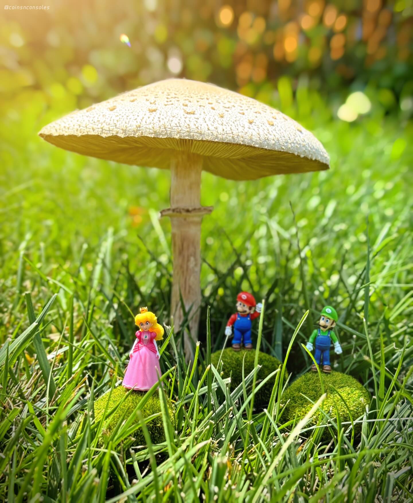 Welcome to the Mushroom Kingdom! 🍄🌟 Who’s excited for the new Super Mario Galaxy movie this weekend?!
————————
#nintendo #nintendolife #ninstagram #supermario #supermariogalaxymovie