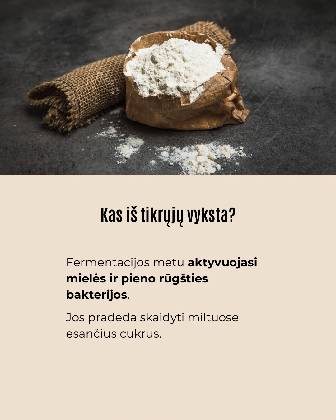 Kepant lengva pasitikėti tuo, ką matome.Tešla pakilo – atrodo, viskas gerai, tačiau galutinis rezultatas ne visada būna toks, kokio tikėjomės.Tokiais atvejais problema dažniausiai slypi ne recepte,
o procese, kurio nematome.Būtent jis ir lemia, kokia bus kepinio struktūra.Ar esate pastebėję, kad kartais tešla pakyla, bet galutinis rezultatas vis tiek ne toks purus, kokio norėtųsi?