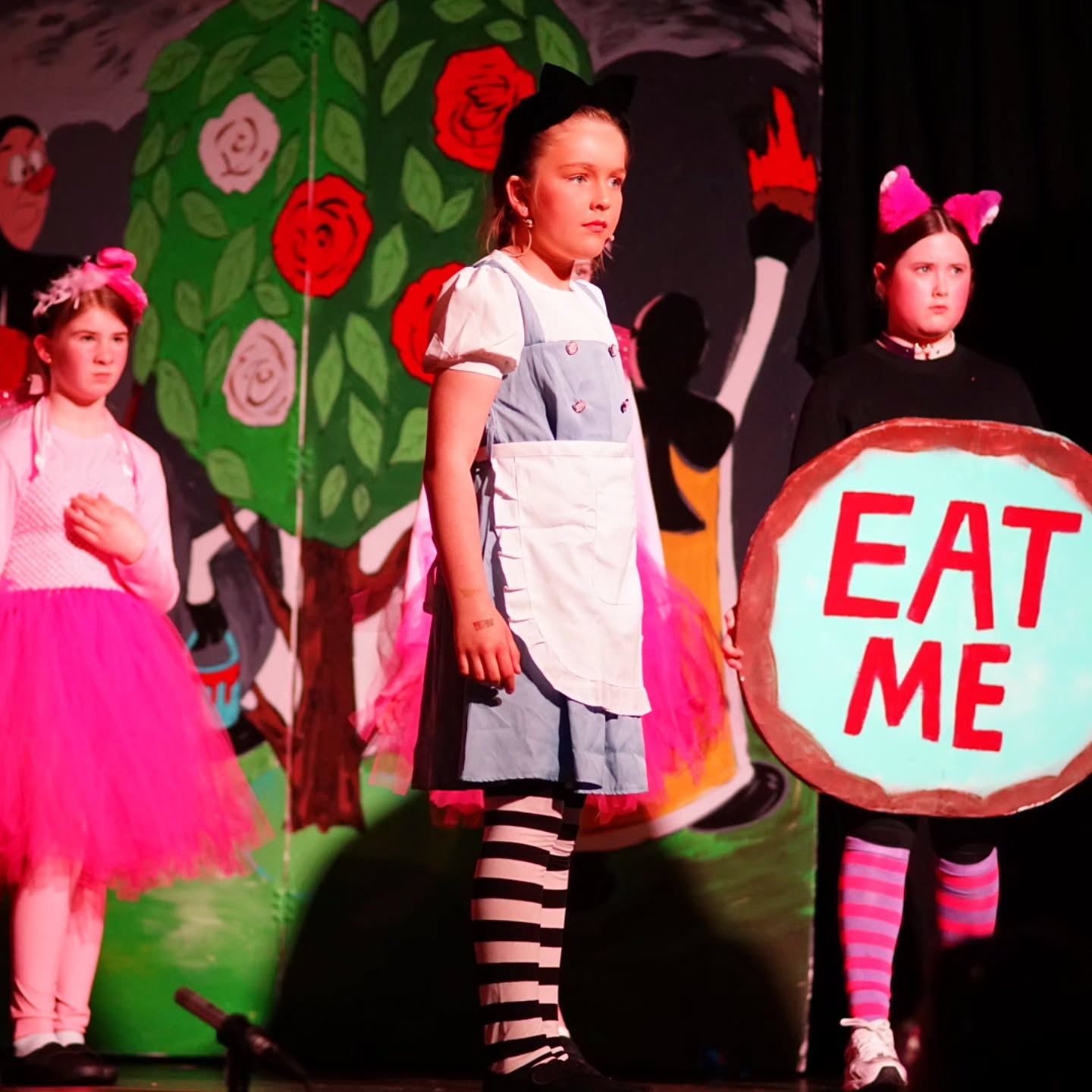 Tonight is the final night of Alice in Wonderland JR on the St. Mary’s Community Centre stage! 🎭✨
We can’t wait to perform one last time for our amazing audience — come join us for a magical evening you won’t forget! 💫
#stmarysyouthcentretullamore #Tullamore #FinalShow ##AliceInWonderlandJR #kidsmusic