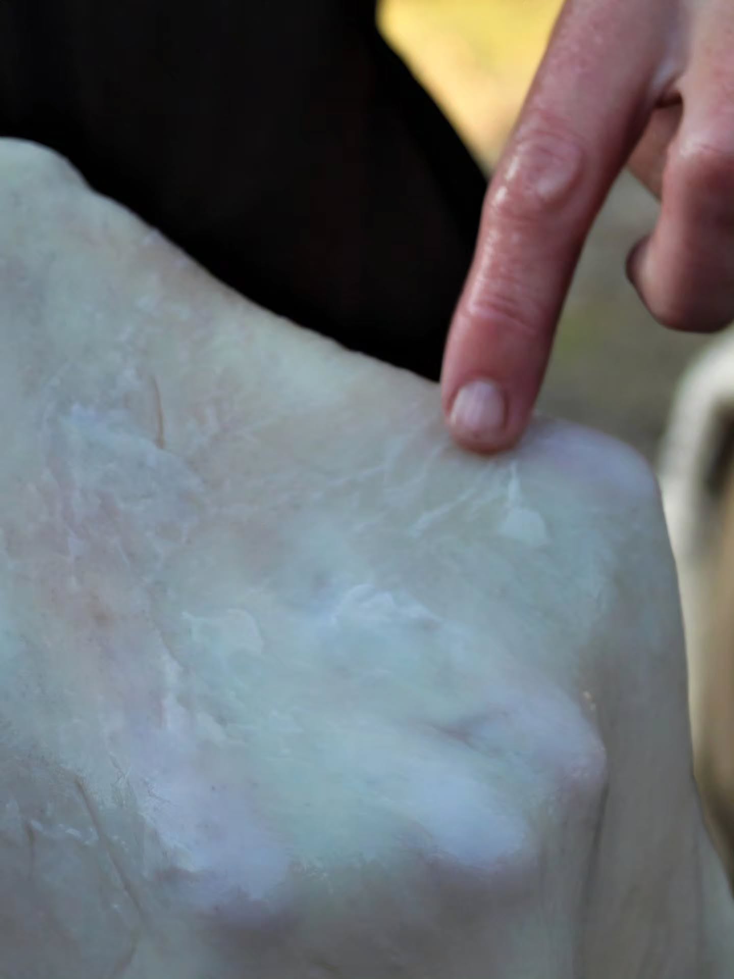 𝗥𝗲𝗰𝗼𝗴𝗻𝗶𝘇𝗶𝗻𝗴 𝗦𝘁𝗿𝘂𝗰𝘁𝘂𝗿𝗮𝗹 𝗖𝗼𝗺𝗽𝗼𝗻𝗲𝗻𝘁𝘀 𝗼𝗳 𝗮 𝗛𝗶𝗱𝗲 🦌
A large part of learning to tan is learning to recognise the various structural components of the skin.
The high points near the tip of my finger are bits of the papillary dermis (grain layer) that have been missed during the scraping process for producing buckskin (emulsion processed leather).
More on this topic will shortly be uploaded to a new FAQ & Tips page on my website. :)
#buckskin #hidetanning #TraditionalSkills #bushcraft