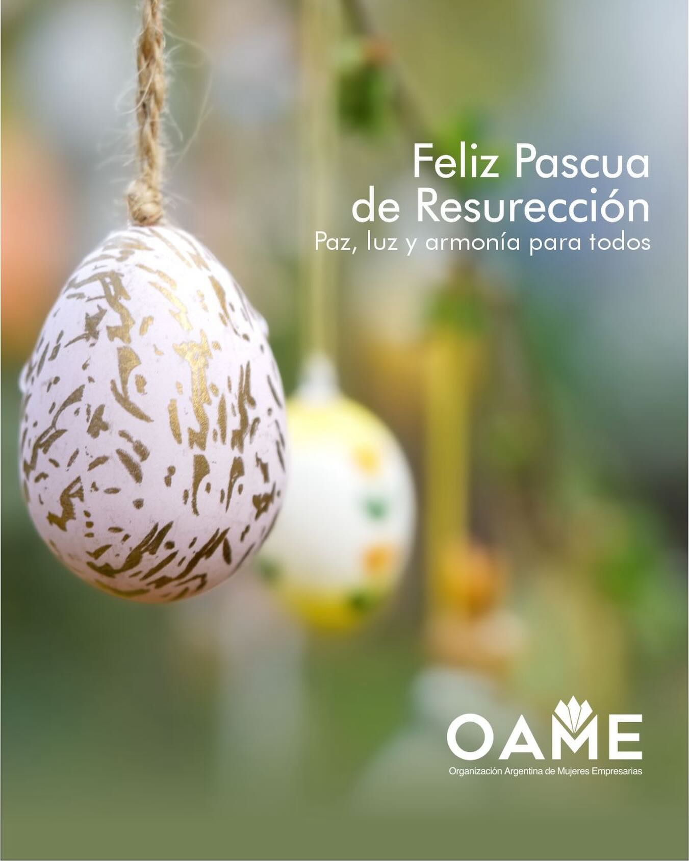 ✨ Que estas Pascuas renueven la esperanza, la alegría y los nuevos comienzos.
¡Felices Pascuas! 🐣🌸