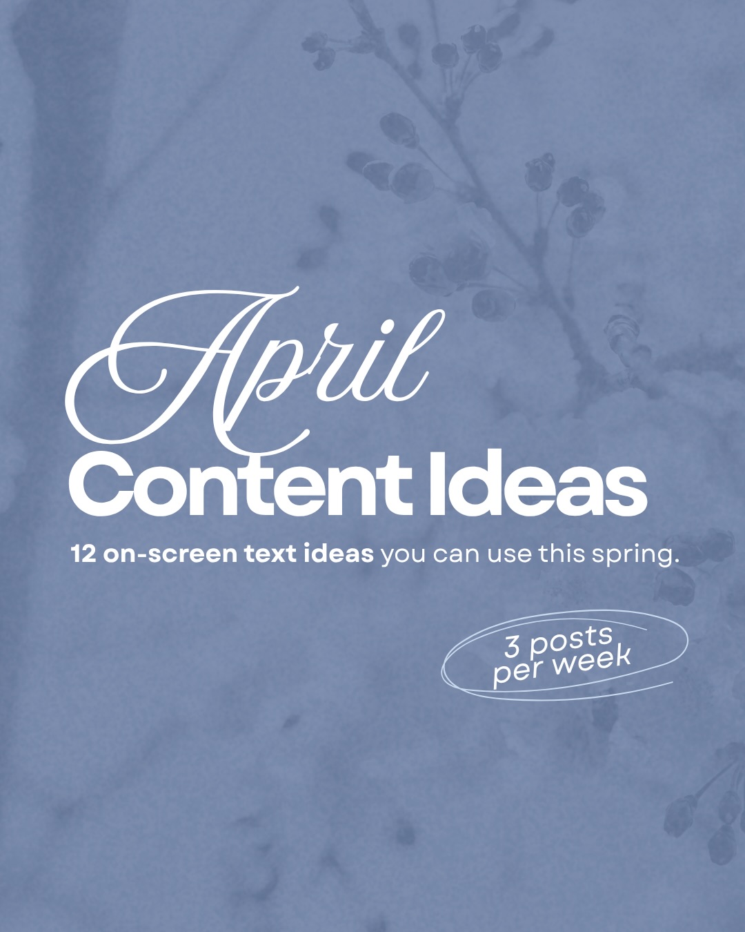 If you’ve been feeling stuck on what to post as the seasons change, this is for you.
These are on-screen text ideas you can use throughout April —
no matter your industry — to keep your content relevant, seasonal, and intentional.
Save this for later and use it when you need it.
If you want support turning ideas like this into a full content system,
that’s exactly what we help businesses build.