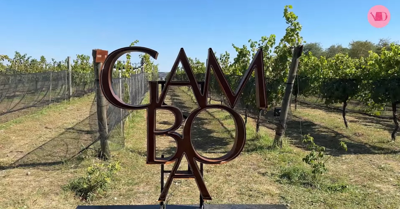 Recorrimos @bodegagamboa junto al paisajista Daniel Martín, quien le está dando identidad verde a este gran desarrollo. Caminar con él es una experiencia: no solo mira lo plantado, sino que te transmite los momentos que los invitados van a disfrutar en el futuro. 🌿🍷
También charlamos con Ana Paula Da Cunha, gerente del lugar, sobre su cocina de estación y fuegos, el maridaje perfecto para este rincón bonaerense que respeta el bosque nativo
¡Un lujo de visita!
La nota completa está en www.deraiz.ar y canal de YouTube ☺️ Recorrimos @bodegagamboa junto al paisajista Daniel Martín, quien le está dando identidad verde a este gran desarrollo. Caminar con él es una experiencia: no solo mira lo plantado, sino que te transmite los momentos que los invitados van a disfrutar en el futuro. 🌿🍷
También charlamos con Ana Paula Da Cunha, gerente del lugar, sobre su cocina de estación y fuegos, el maridaje perfecto para este rincón bonaerense que respeta el bosque nativo
¡Un lujo de visita!
La nota completa está en www.deraiz.ar y canal de YouTube ☺️
