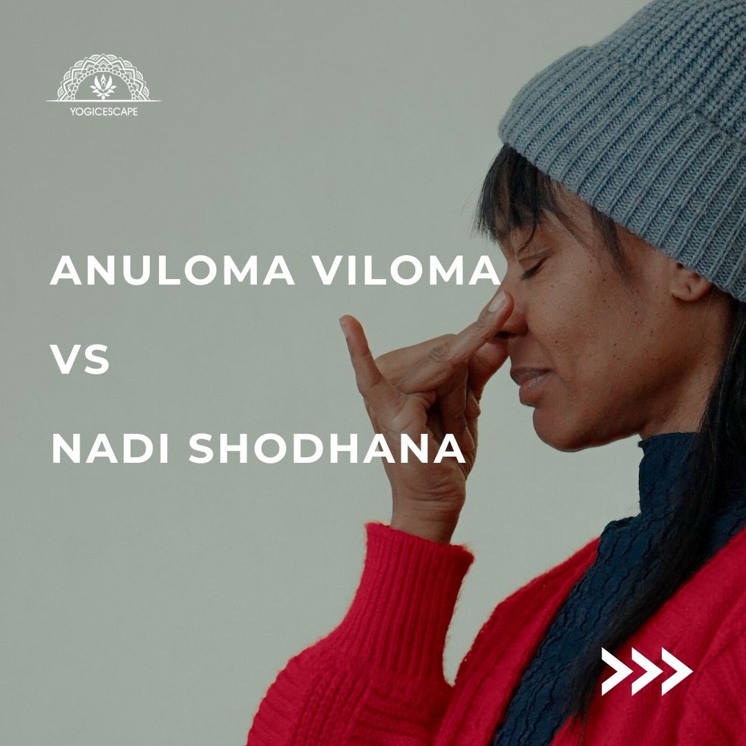 Most people use these two interchangeably… but they’re not exactly the same.
Anuloma Viloma is often practiced as a simple alternate nostril breathing technique
inhale from one side, exhale from the other, in a steady, calming rhythm.
It’s accessible, grounding, and great for daily balance.
Nadi Shodhana, on the other hand, goes deeper.
It’s a more structured practice that may include breath retention (kumbhaka), specific ratios, and a stronger focus on purification of the energy channels (nadis).
In simple terms:
Anuloma Viloma soothes the mind.
Nadi Shodhana refines and deepens the practice.
If you’ve been curious to go beyond the basics and truly understand the science, technique, and teaching of breathwork…
Pranayama & Breathwork Teacher Training
Where? Yogic Escape, Prenzlauer Berg
When? 17 May 2026
By? @nehyogayogicescape
YACEP Certified
Learn how to practice, experience, and guide breath with clarity and confidence.
Join via the link in bio. ✨
#pranayamatraining #breathworktraining #pranayama #breathwork #yogicescape