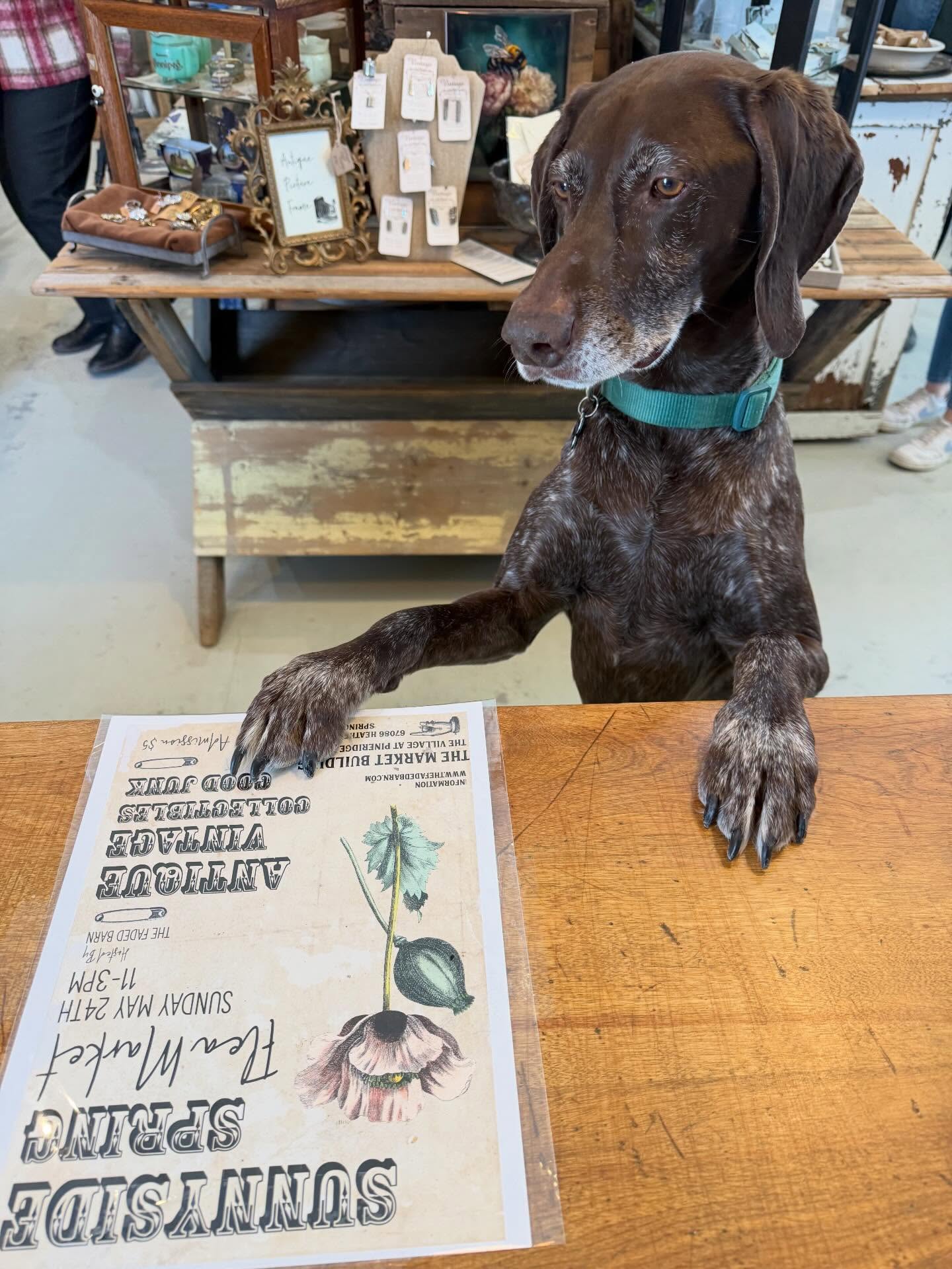 We have just a few Vendor spaces left for the Sunnyside Spring Flea….. please contact info@thefadedbarn for information. If you have Antique, Vintage or Collectibles to sell….Spaces start at just $40!
#fleamarket #antique #vintage #vintageinspired #fleamarketfind