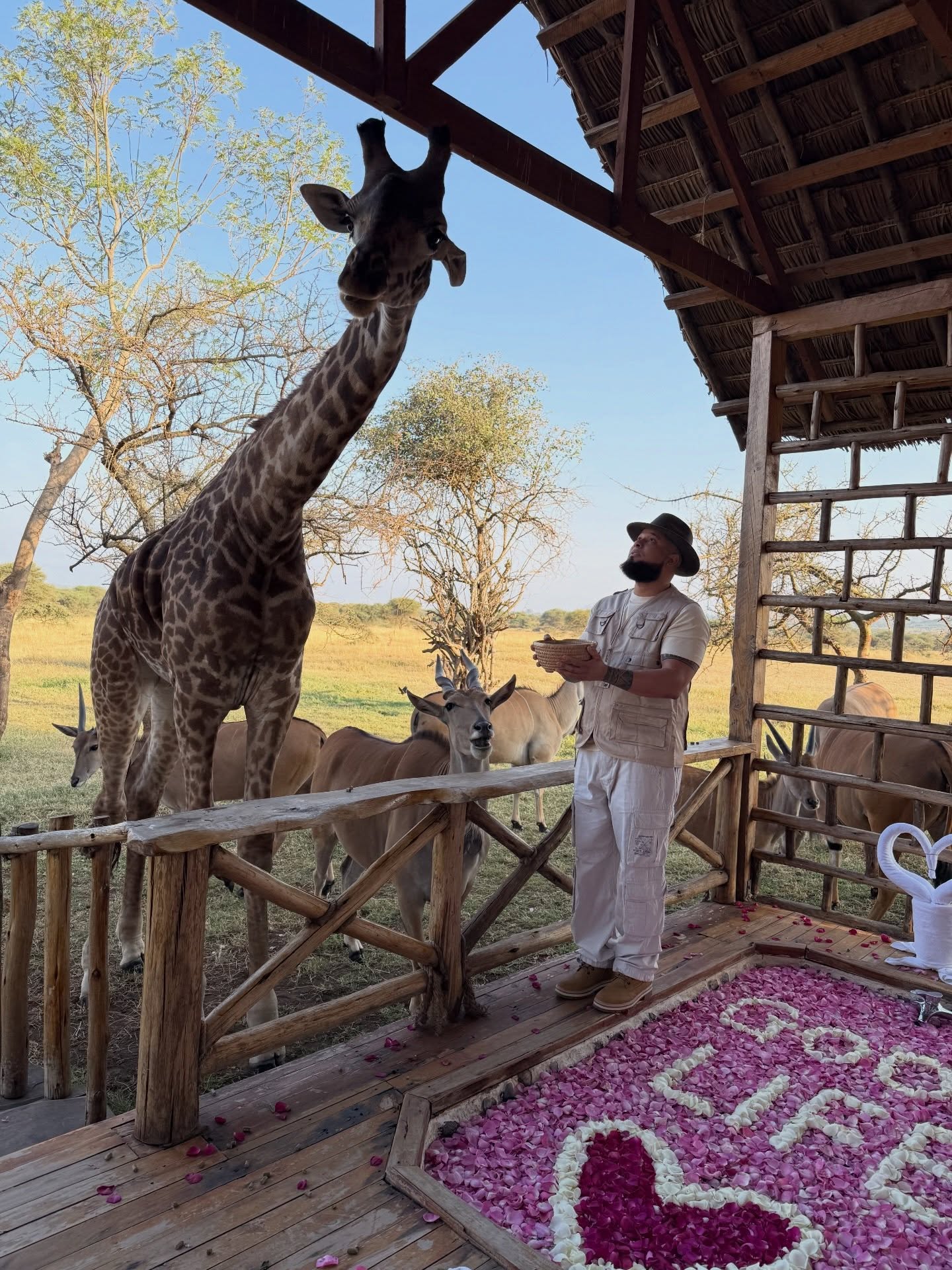 A little “feline fine” before the adventure begins! A beautiful morning with our clients at Serval Wildlife.
📍 Location: Serval Wildlife, Tanzania
🚐 Adventure by: @BigFiveTrails
🎒 Status: Safari loading... ⏳
#bigfivetrails #safaritanzania #guiaespañolentanzania #lunademieltanzania #viajestanzania