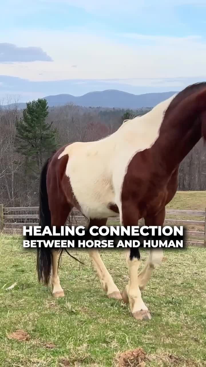 Engaging with horses can significantly enhance mental wellbeing by fostering deep connections. Studies show that interacting with these animals helps reduce stress and anxiety, particularly in children.
ใ
ค
#horses #connection #mentalhealth #nonprofit #helpkids
