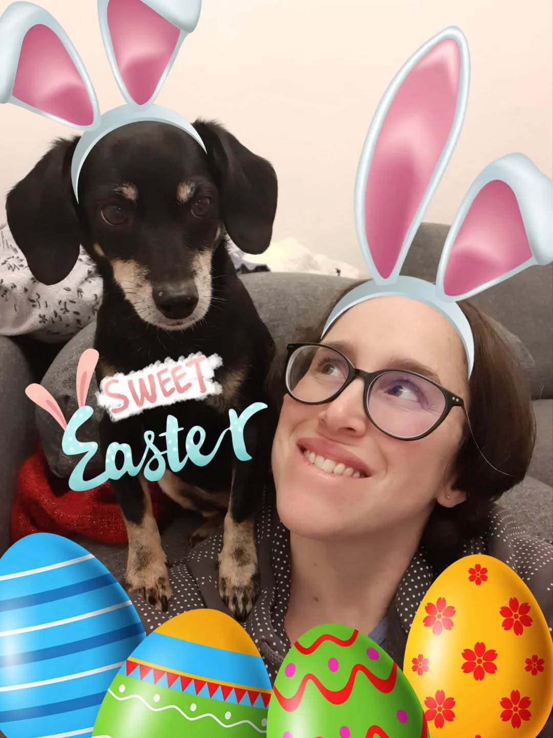 Buona Pasqua! 🐣🌸
Spero sia una giornata serena, fatta di cose semplici e momenti belli.
Continuate a seguirmi: nei prossimi post troverete sempre più spunti, consigli utili e tante idee per vivere meglio insieme al vostro cane 🐾
E restate aggiornati… ci sono tanti eventi in arrivo 😉
#Psicomotricitàa4zampe
#attivitàpercani #canirimini #eventicanirimini #educazionecinofila
