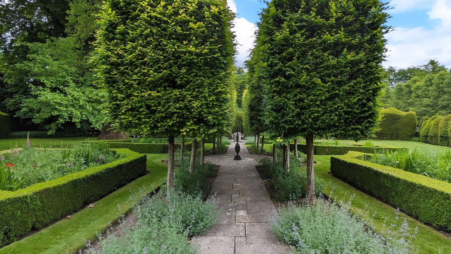 A very small section of a client's garden, where we supply garden maintenance a couple of days a week.
#bloomsford #gardening #garden #gardencommunity #meonvalley #hedges #gardeninspiration #gardenlove #outdoors #gardenlover
