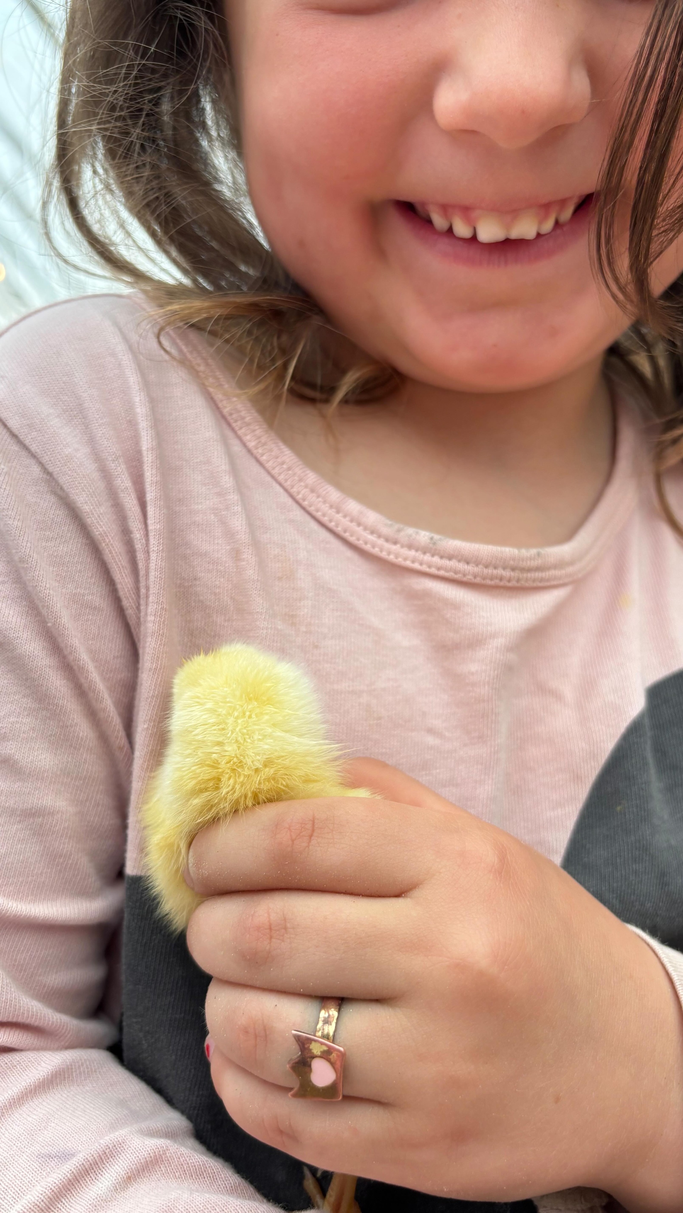 The rest of the meat birds arrived!
This is the start of how we will raise enough chicken for our family of 8 this year.
We ordered 110 meat birds, 45 went to my sister and the rest are for us.
They sent 4 extras, so far one arrived dead and one died last night
Letâs see how many make it to butcher day.
#homestead #farm #chickens #food #farmlife